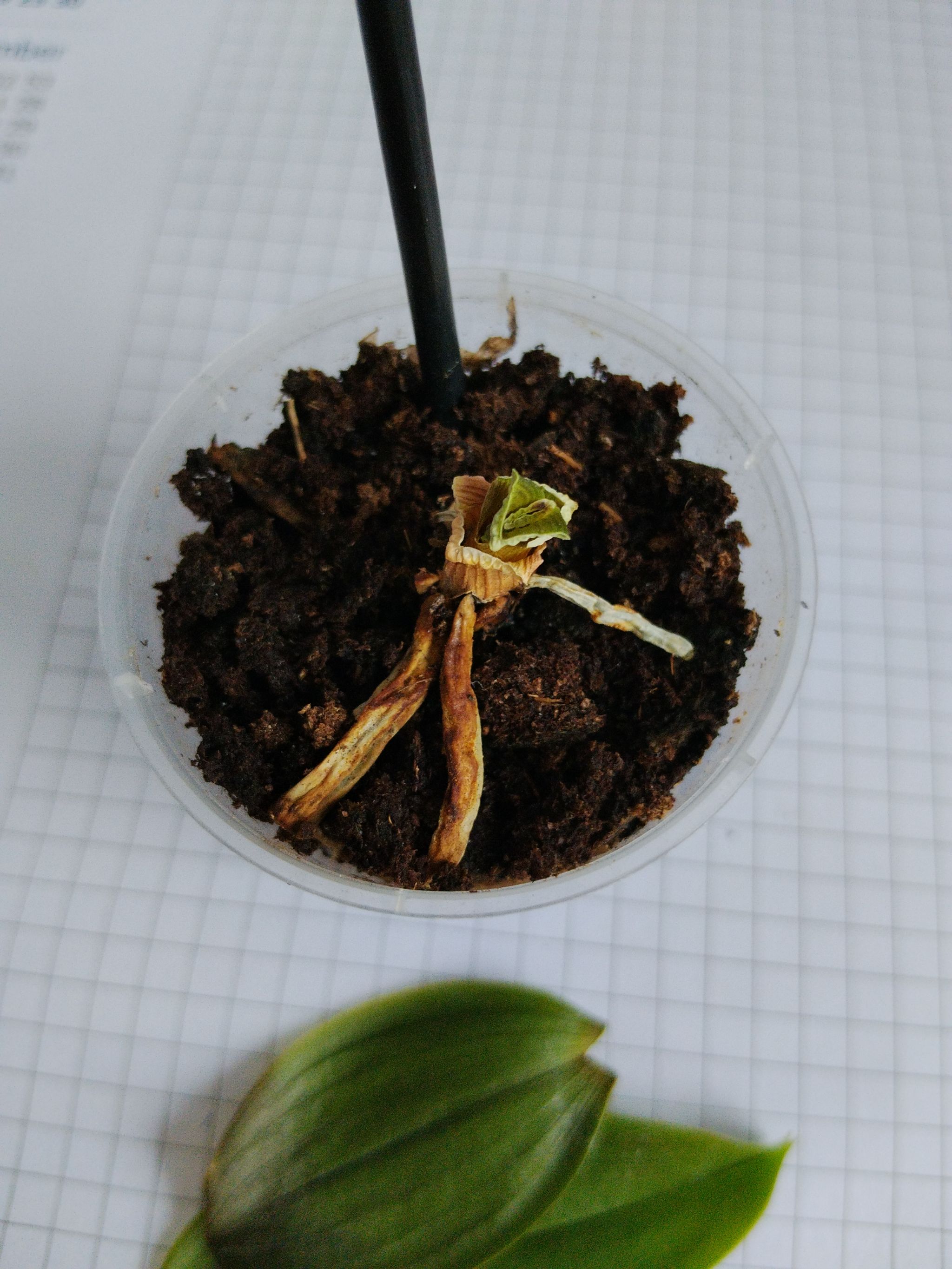 Photo from the post