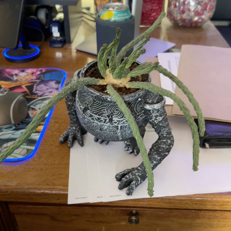 Photo of the plant species Medusa's Head Cactus by @PrimoMira34 named Navajo on Greg, the plant care app