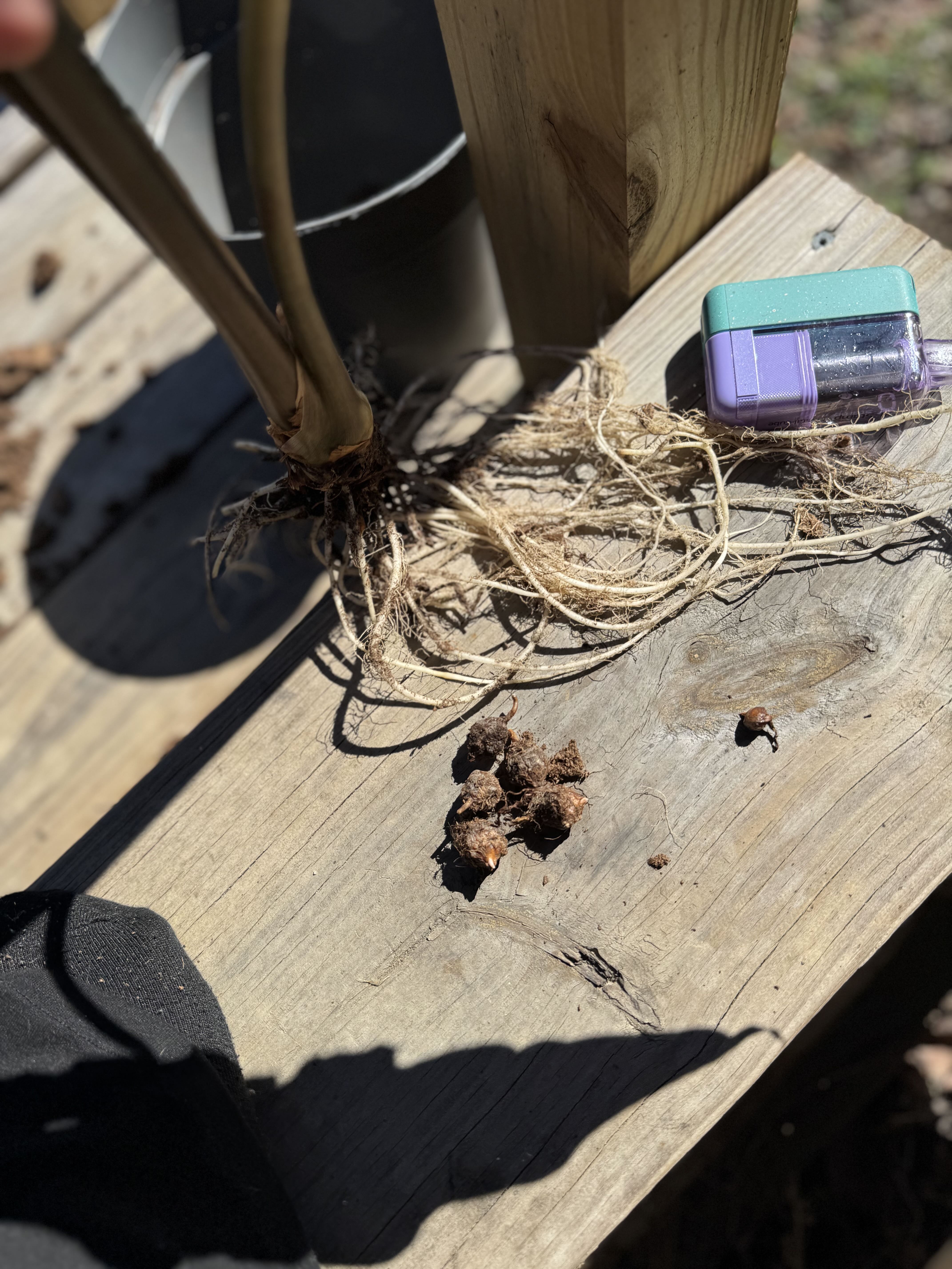 Photo from the post