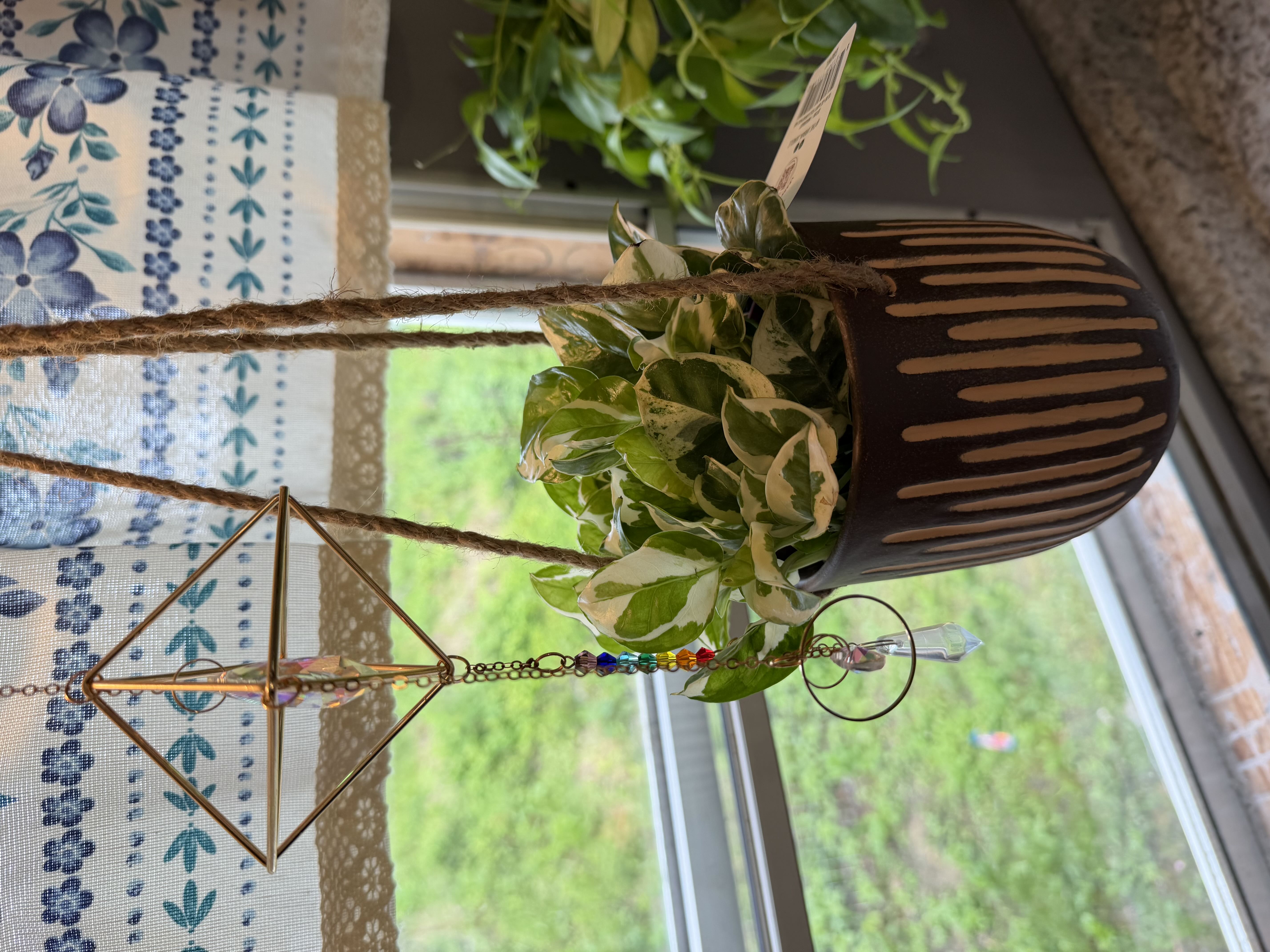 Photo from the post