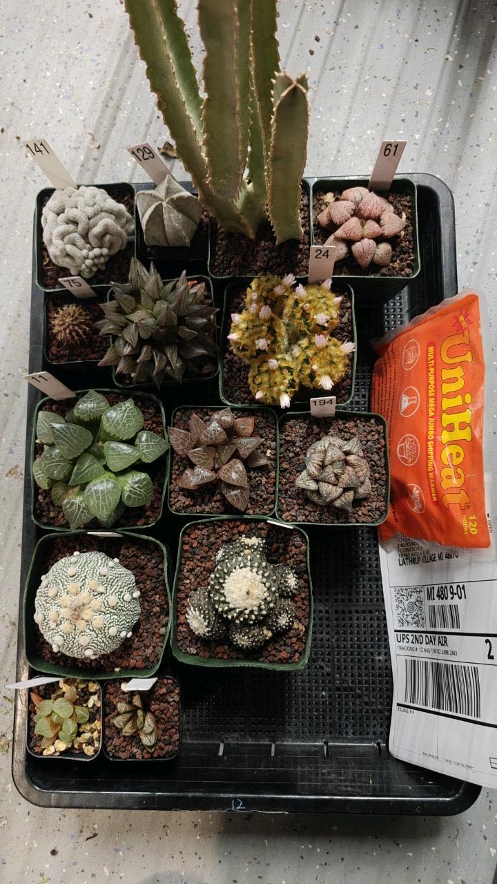 Photo from the post