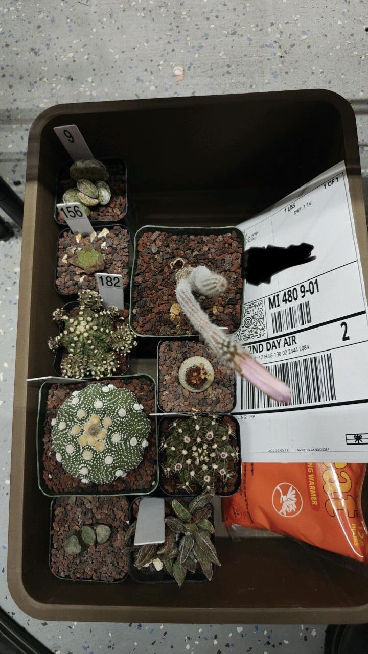 Photo from the post