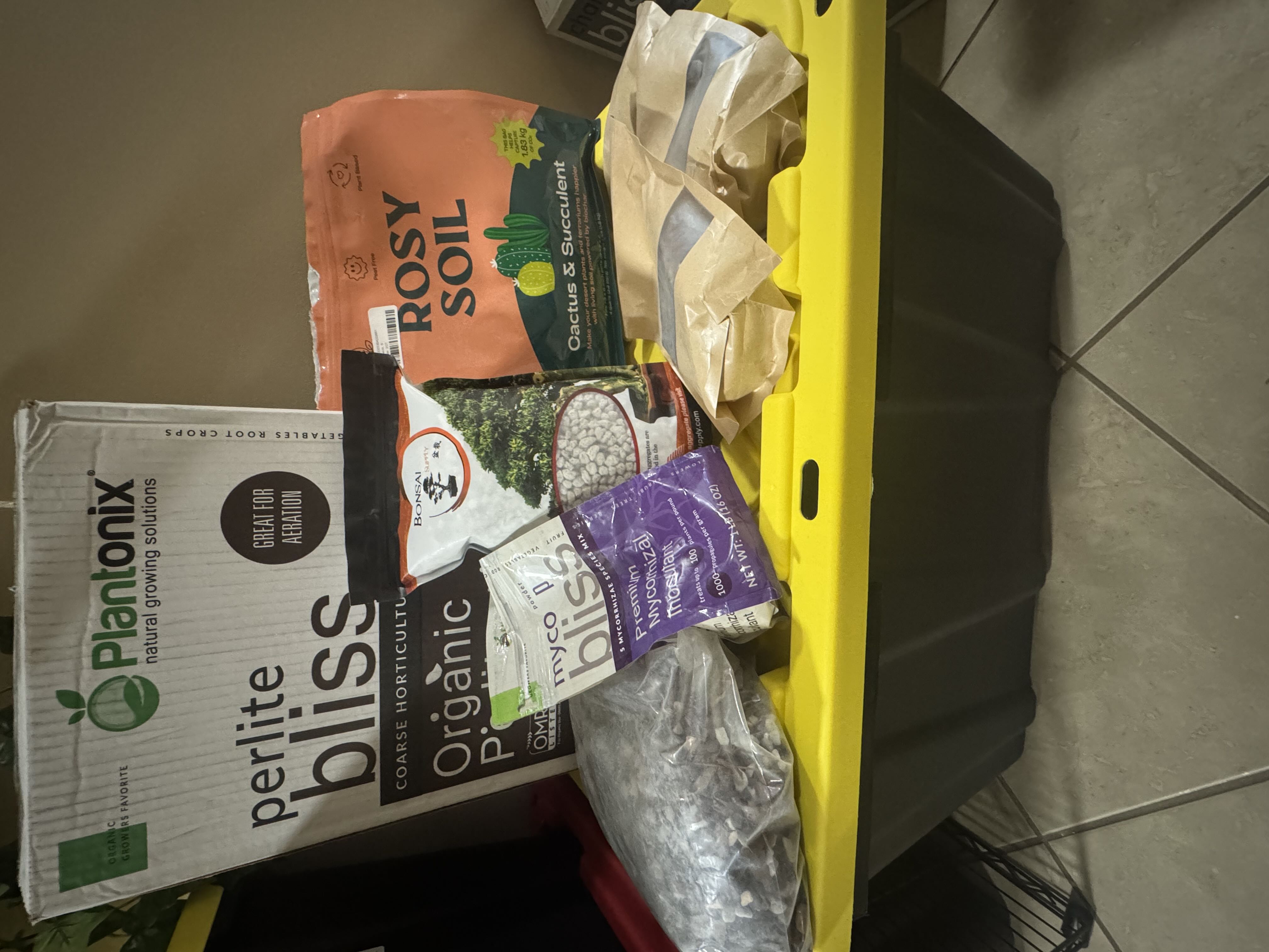 Photo from the post