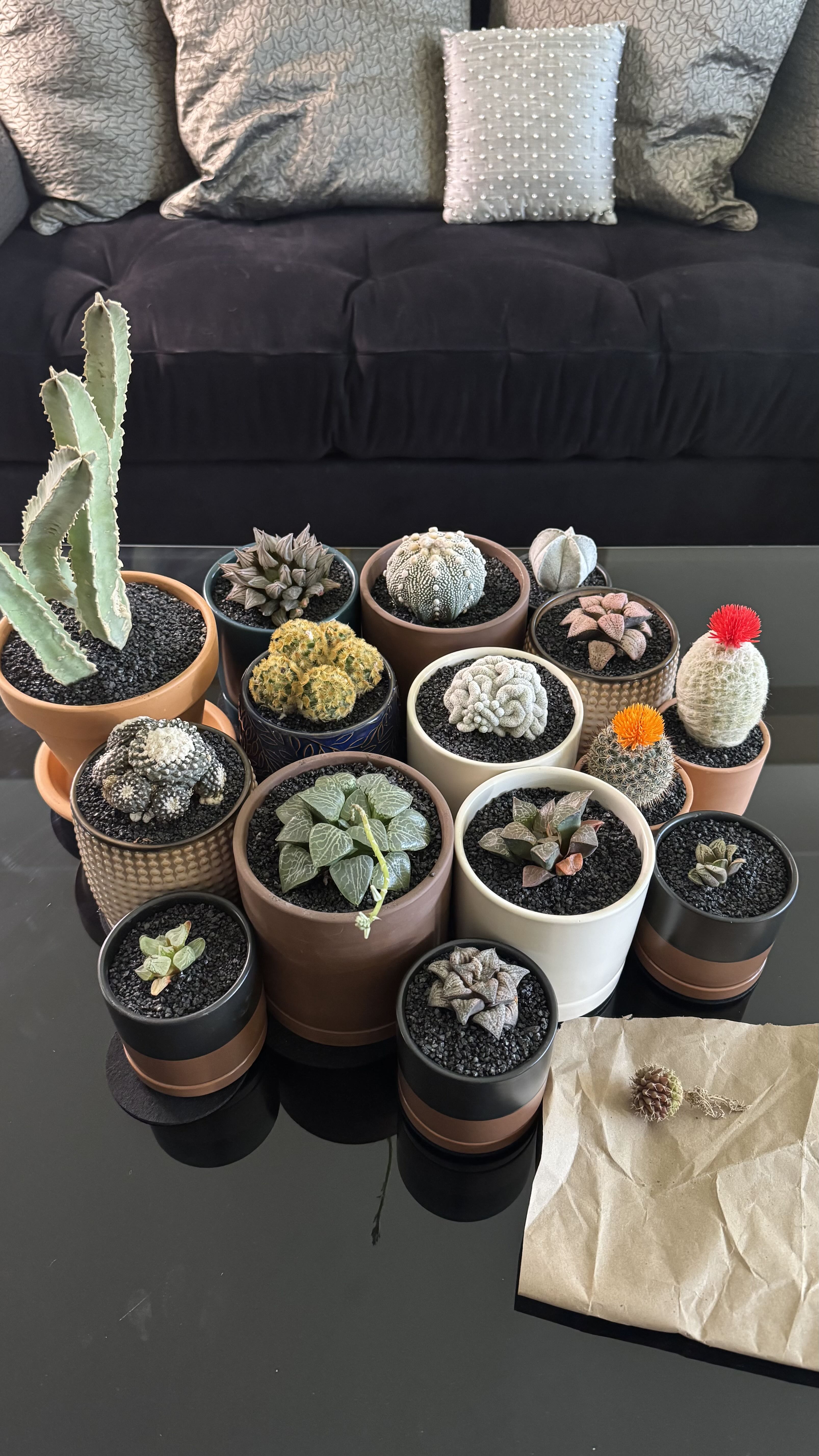 Photo from the post