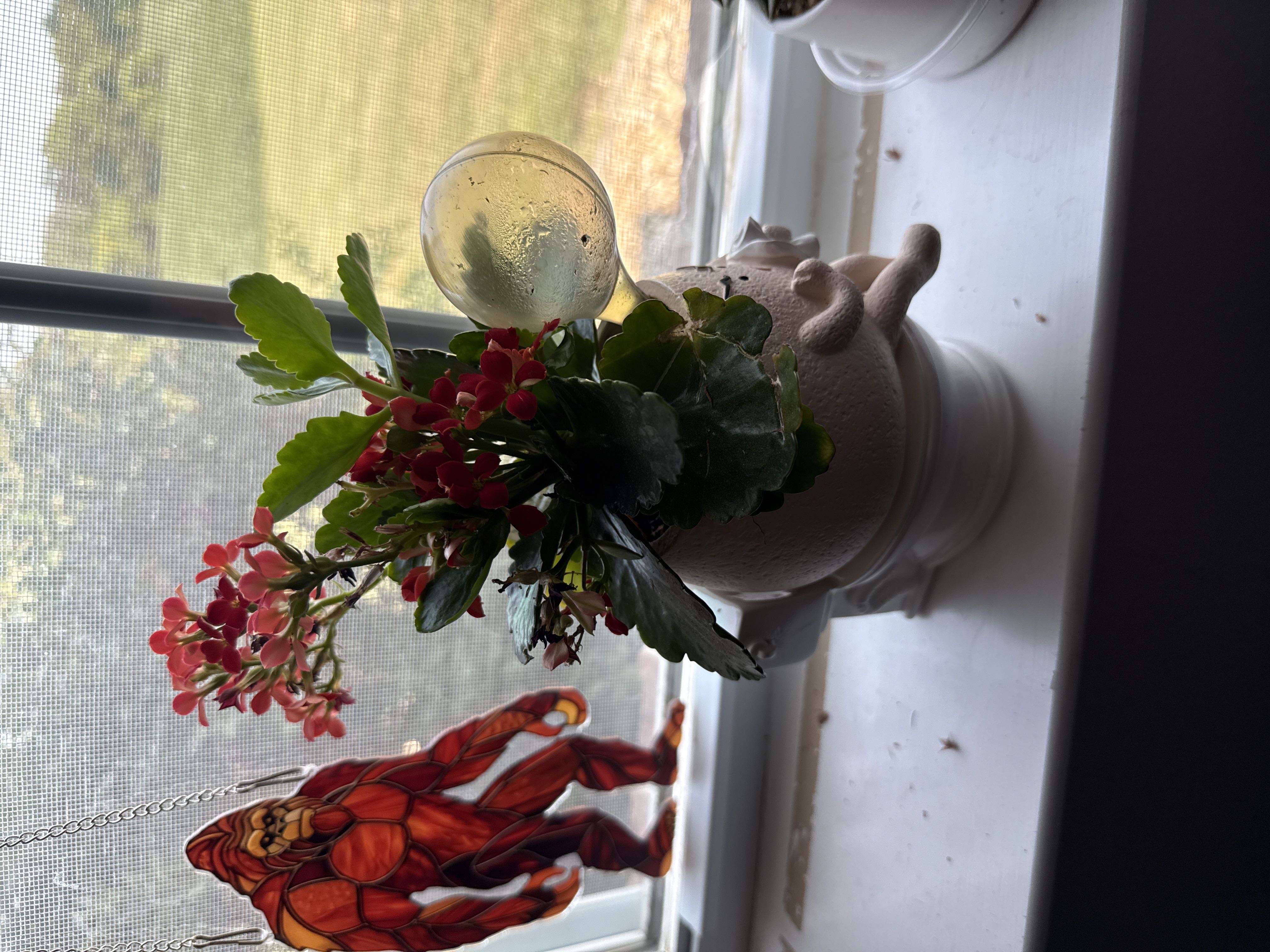 Photo from the post
