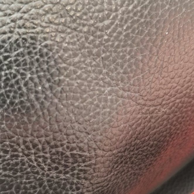 Photo of the plant species Sapote by @Cokepeter named Sonora on Greg, the plant care app