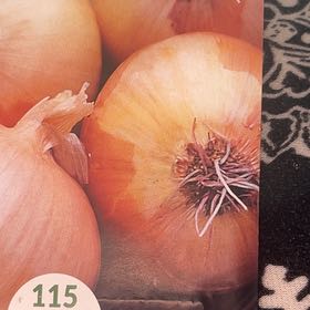 Photo of the plant species onion by @GoodPrasium18 named Grano on Greg, the plant care app
