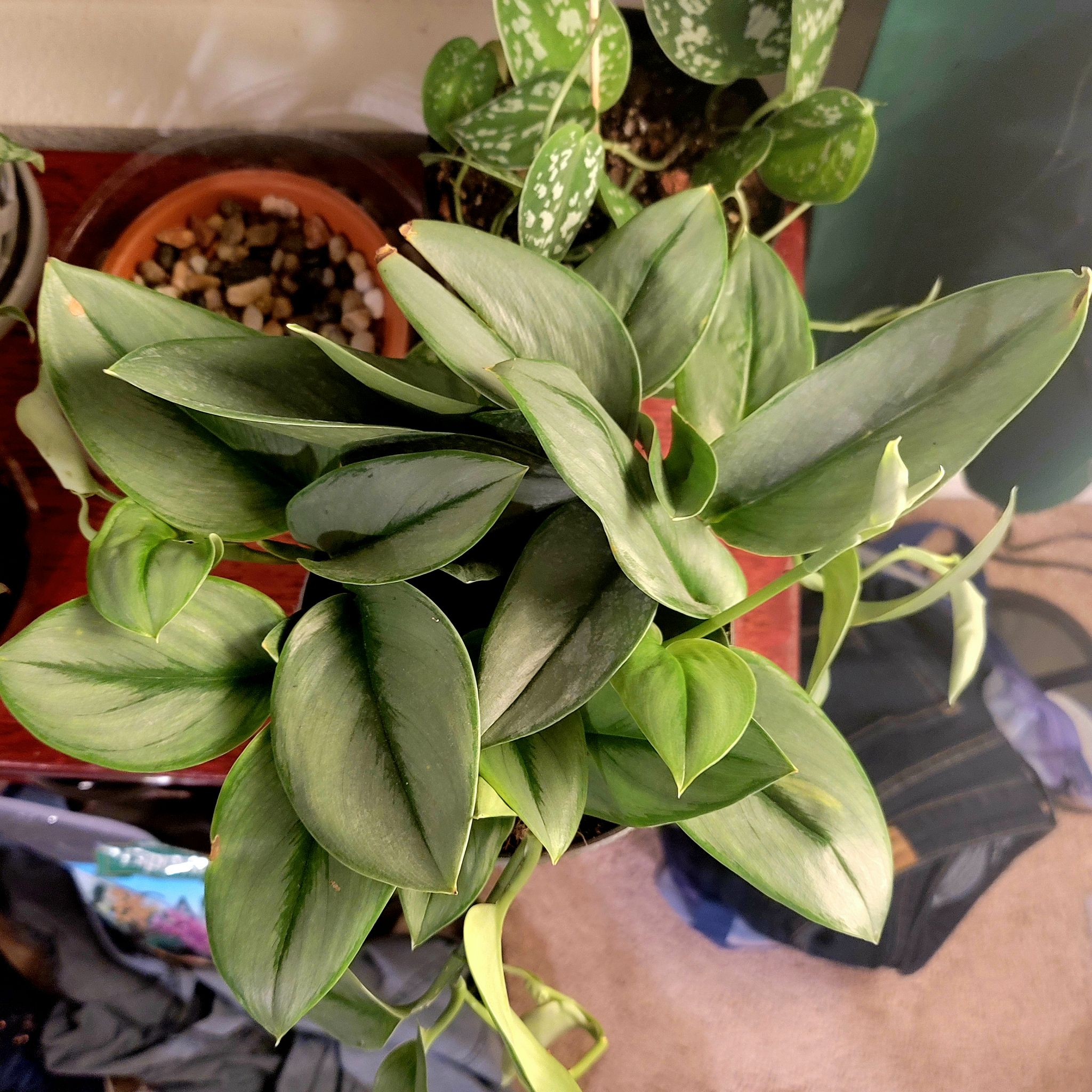 Photo from the post