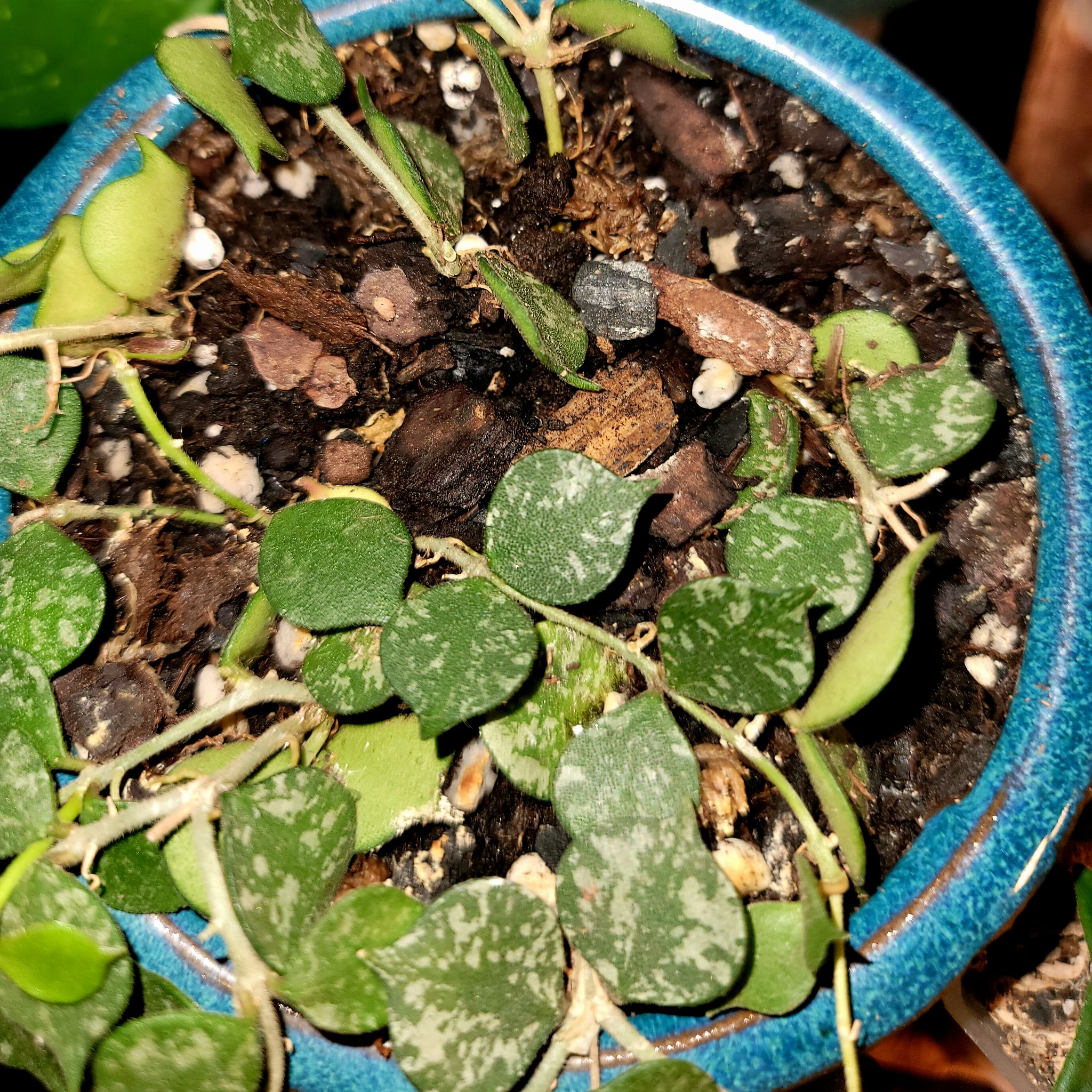 Photo from the post