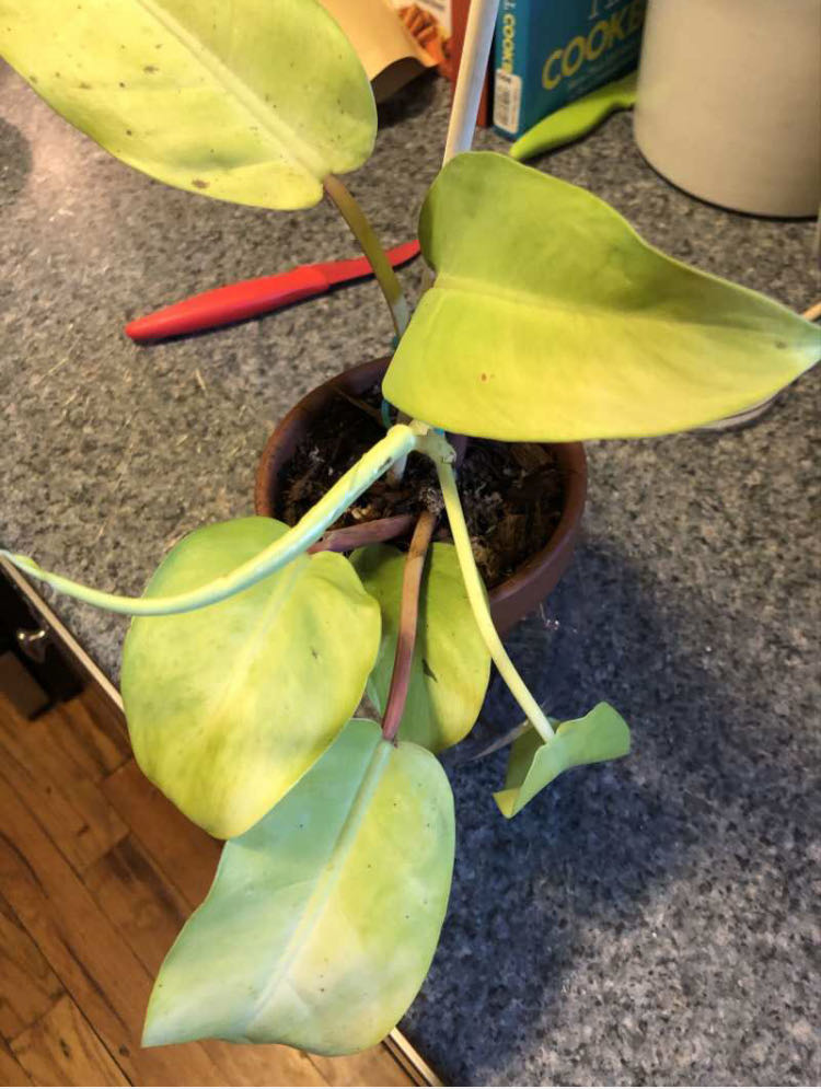 Photo from the post