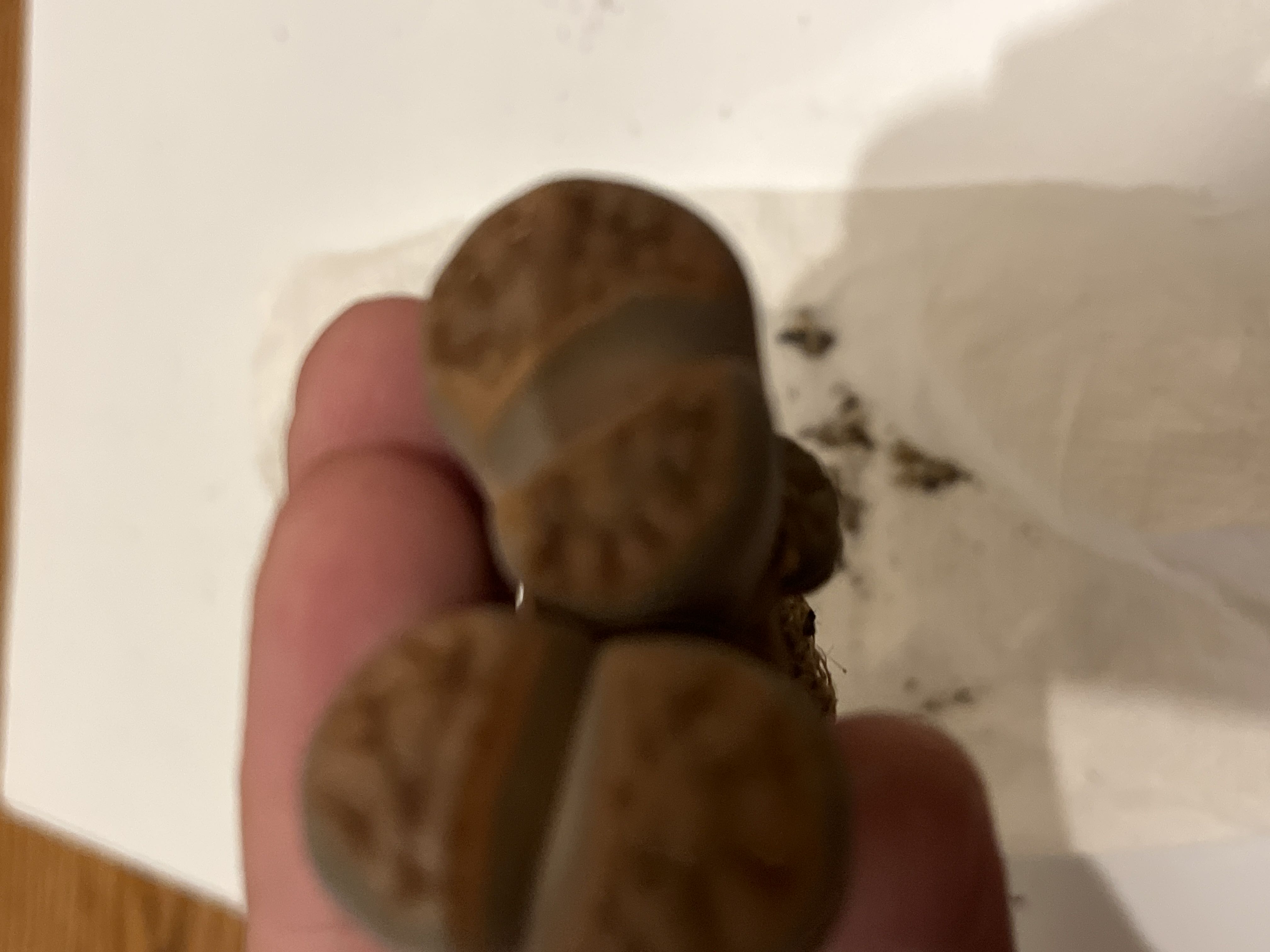 Photo from the post