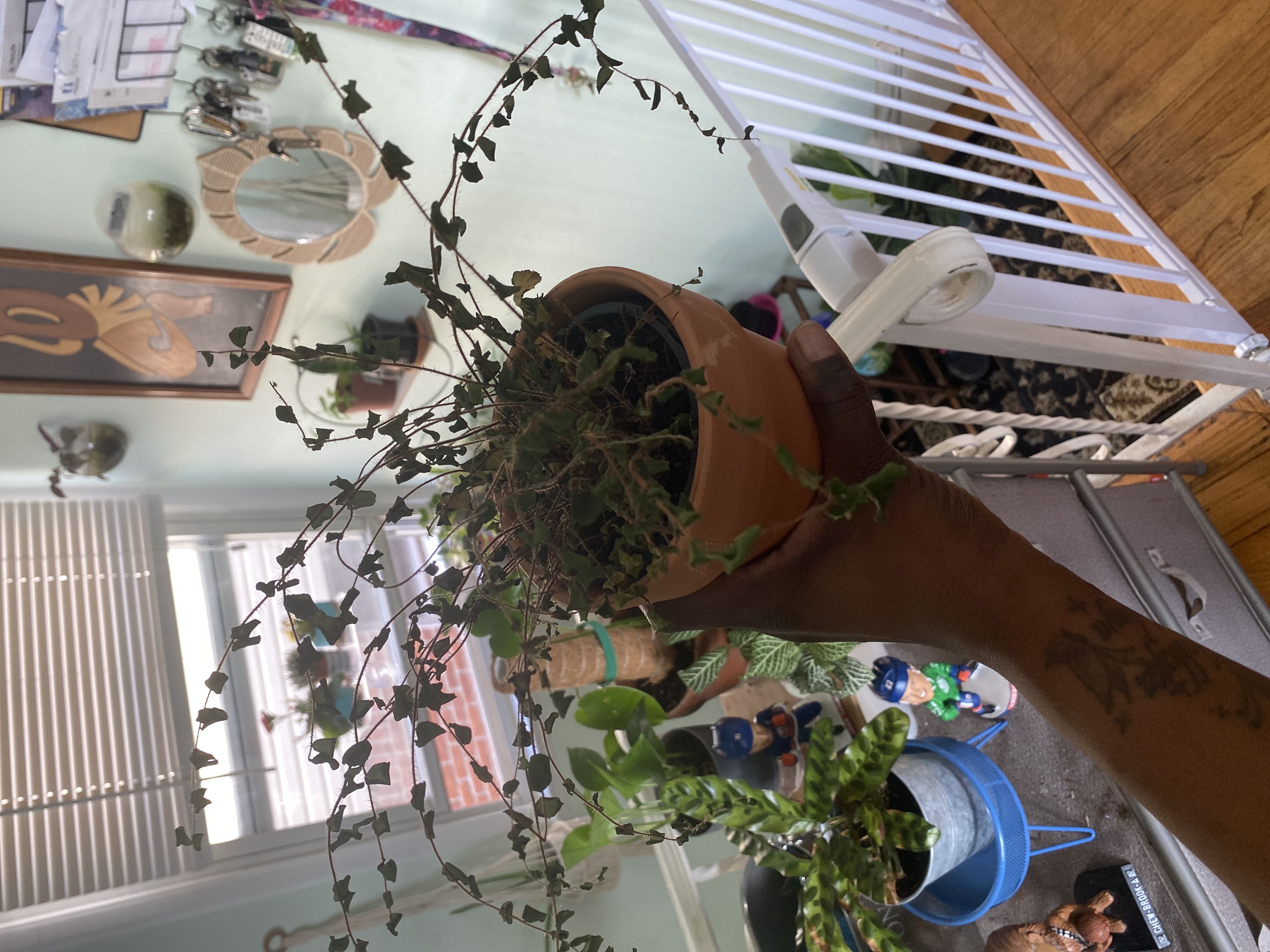 Photo from the post
