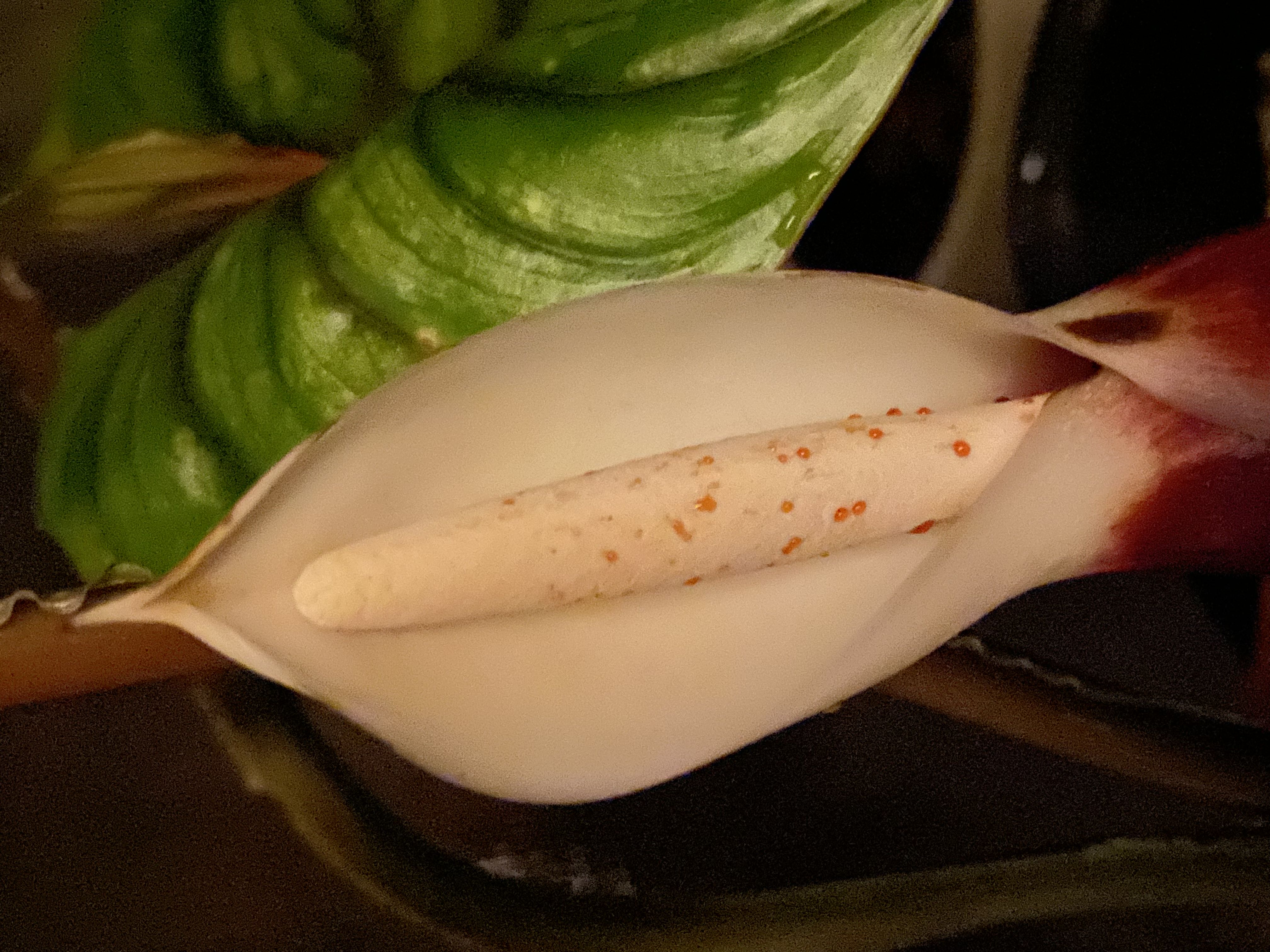 Photo from the post