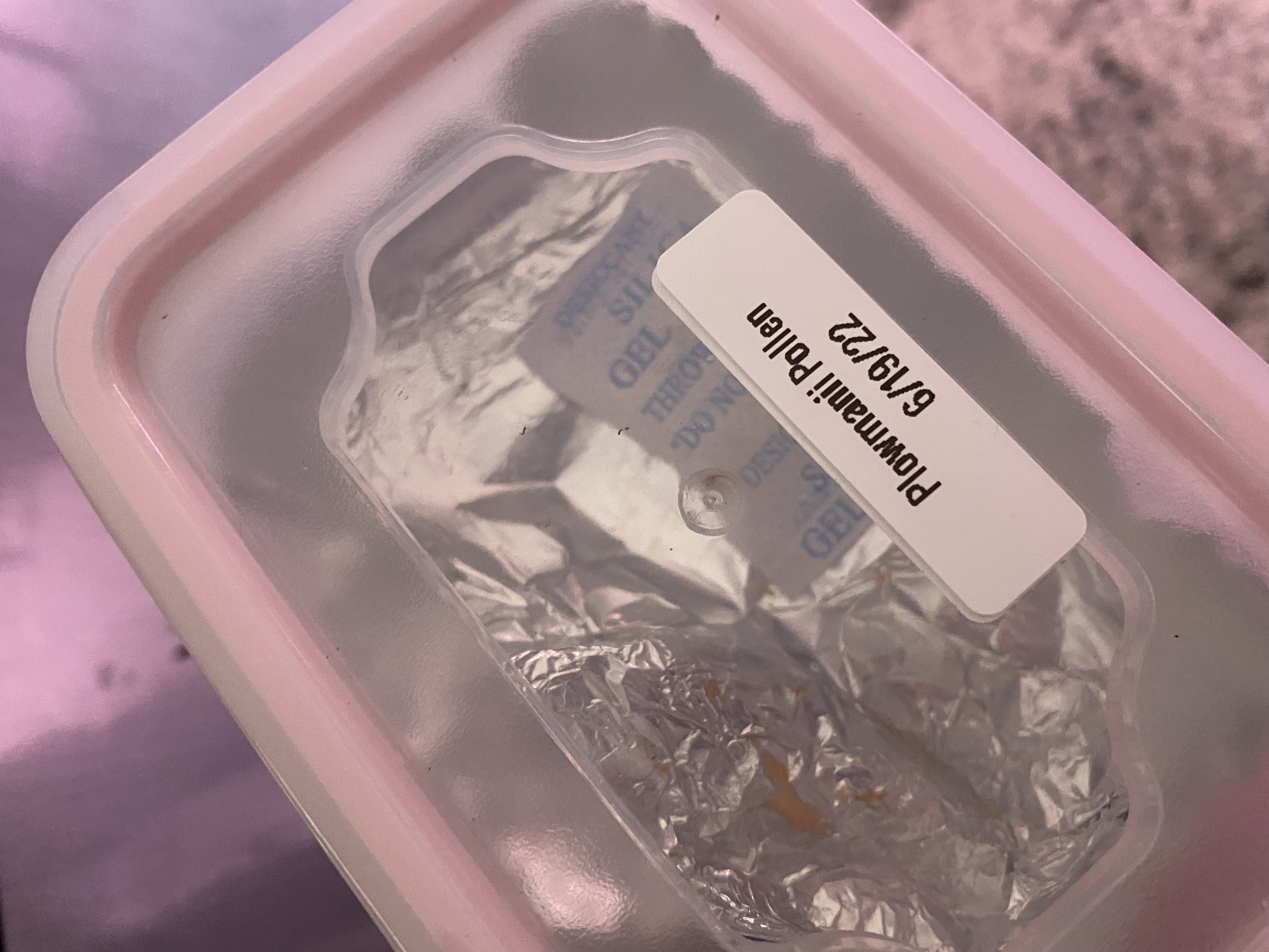 Photo from the post