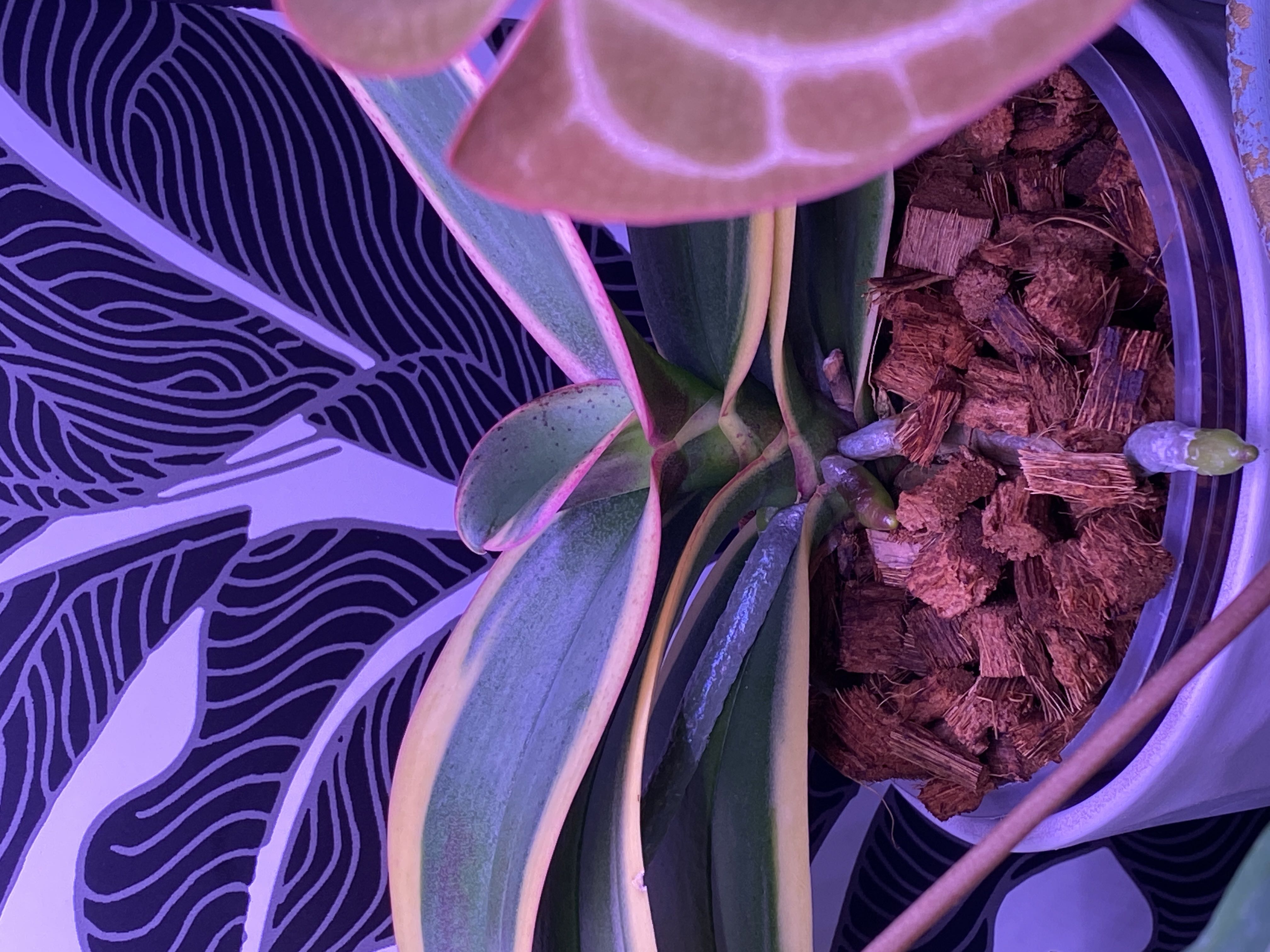 Photo from the post