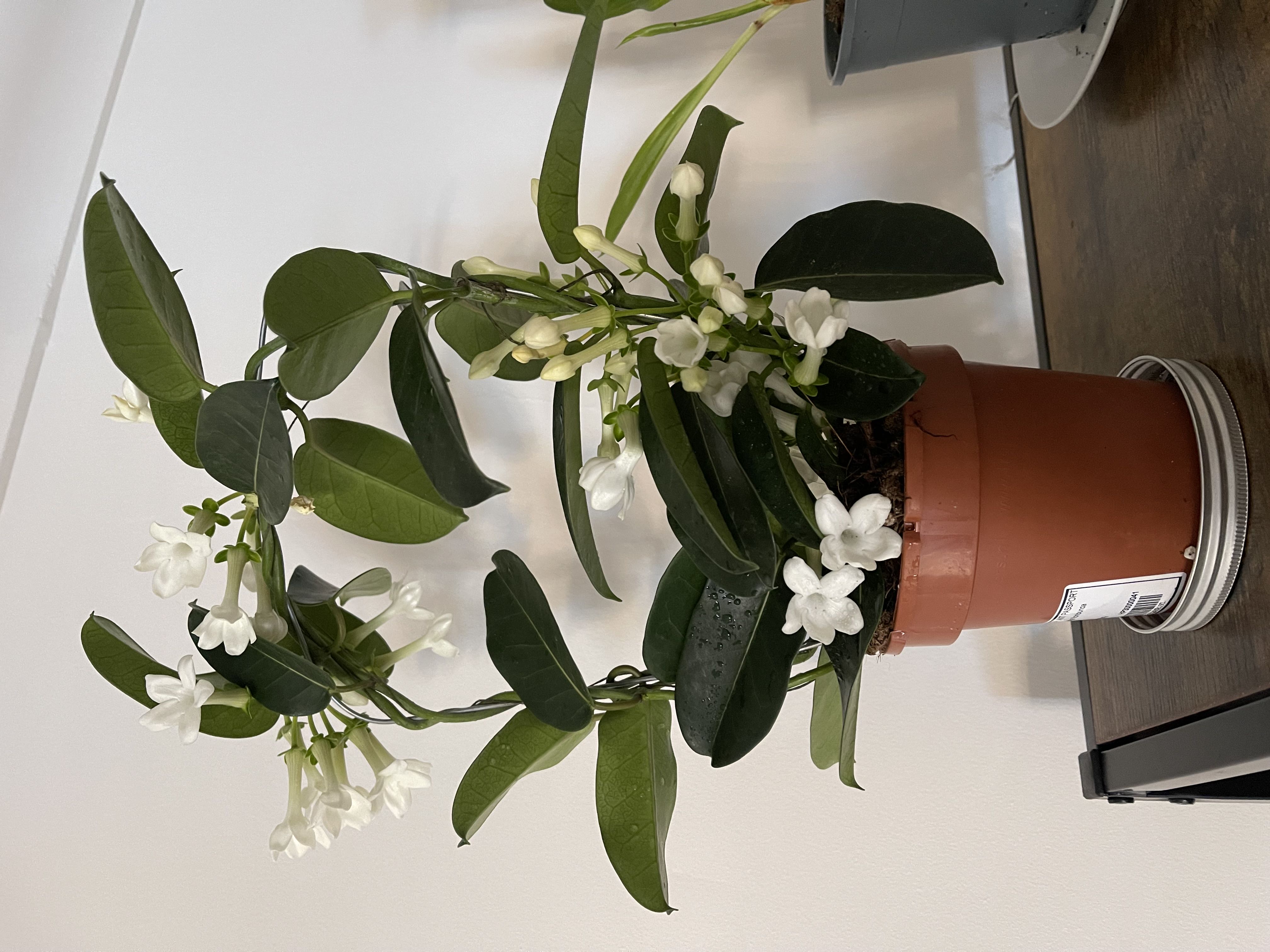 Photo from the post
