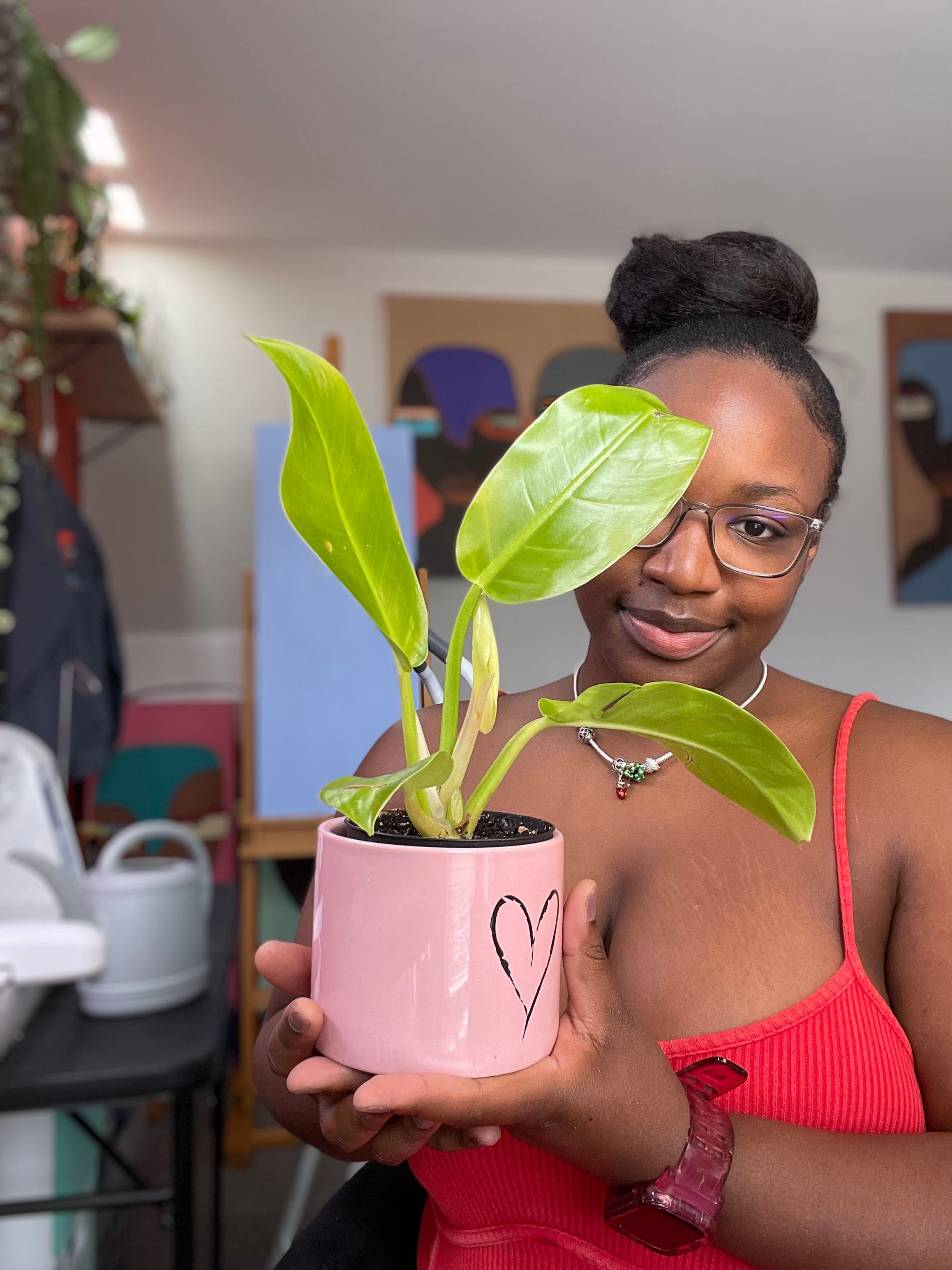 Keep Your String of Spades Alive Light, Water & Care Instructions