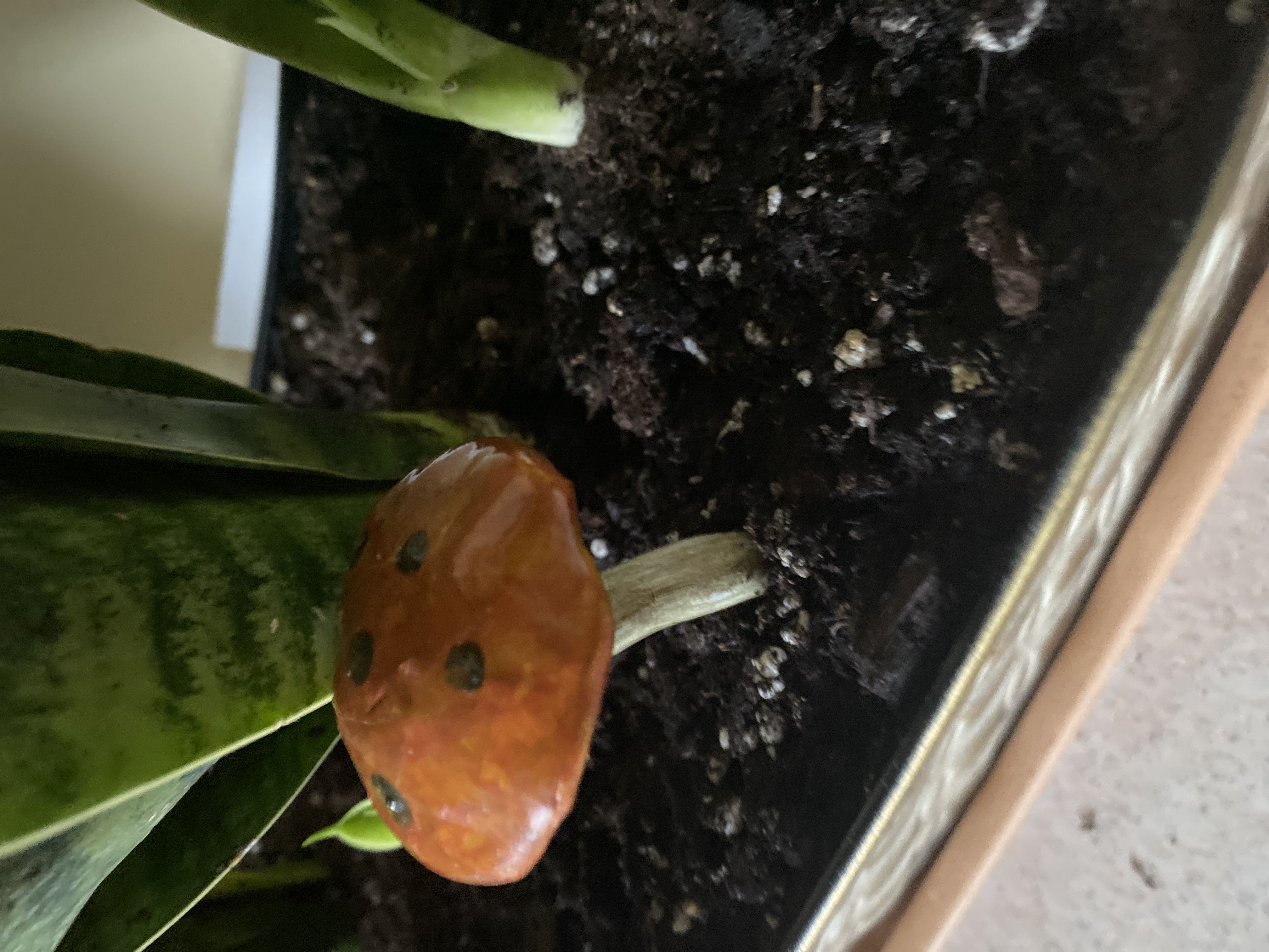 Photo from the post