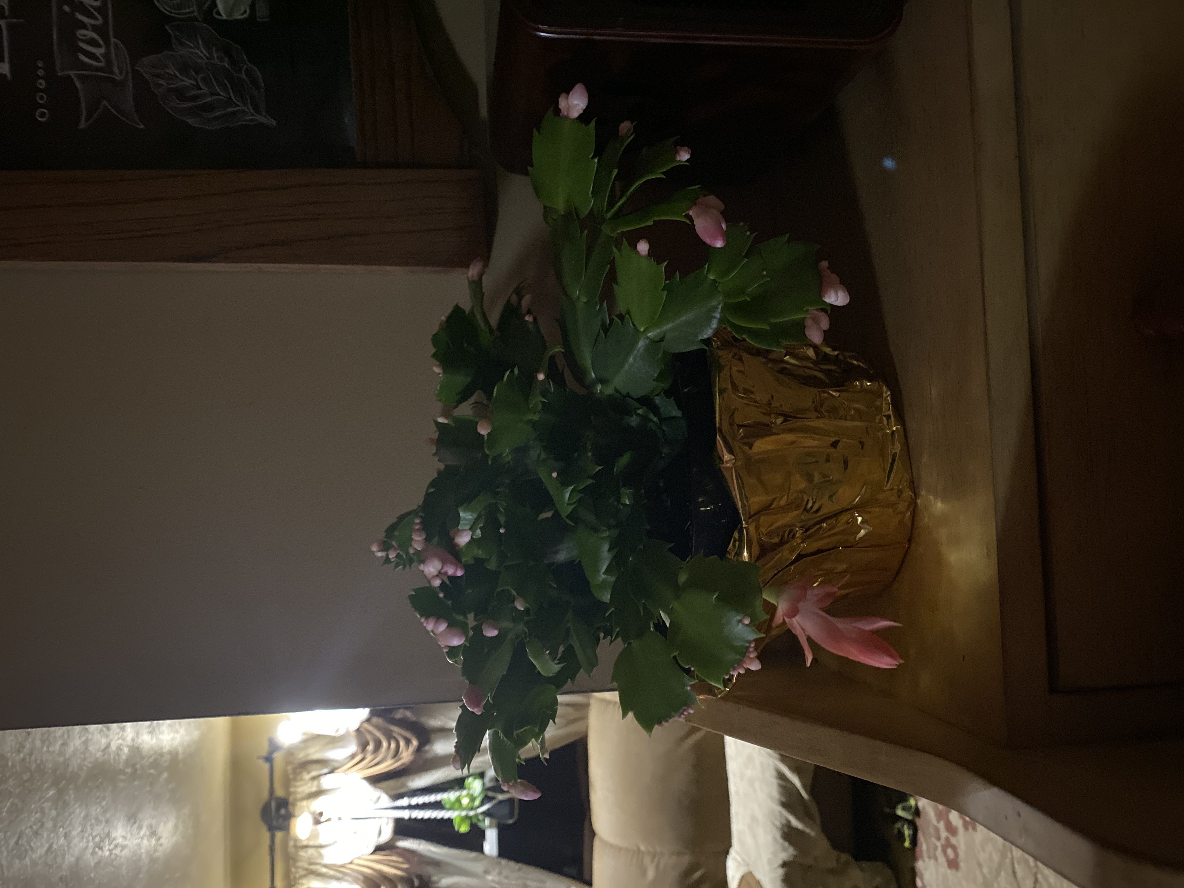 Photo from the post