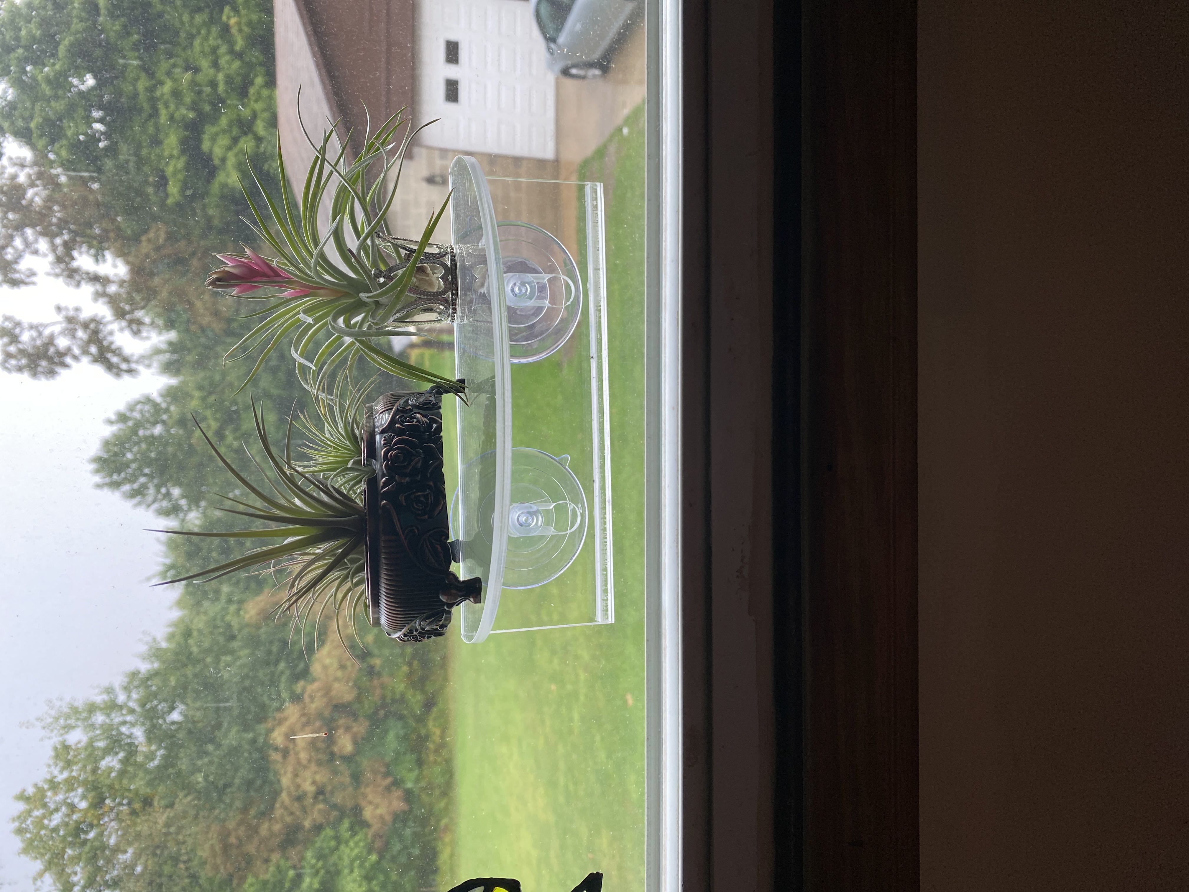 Photo from the post