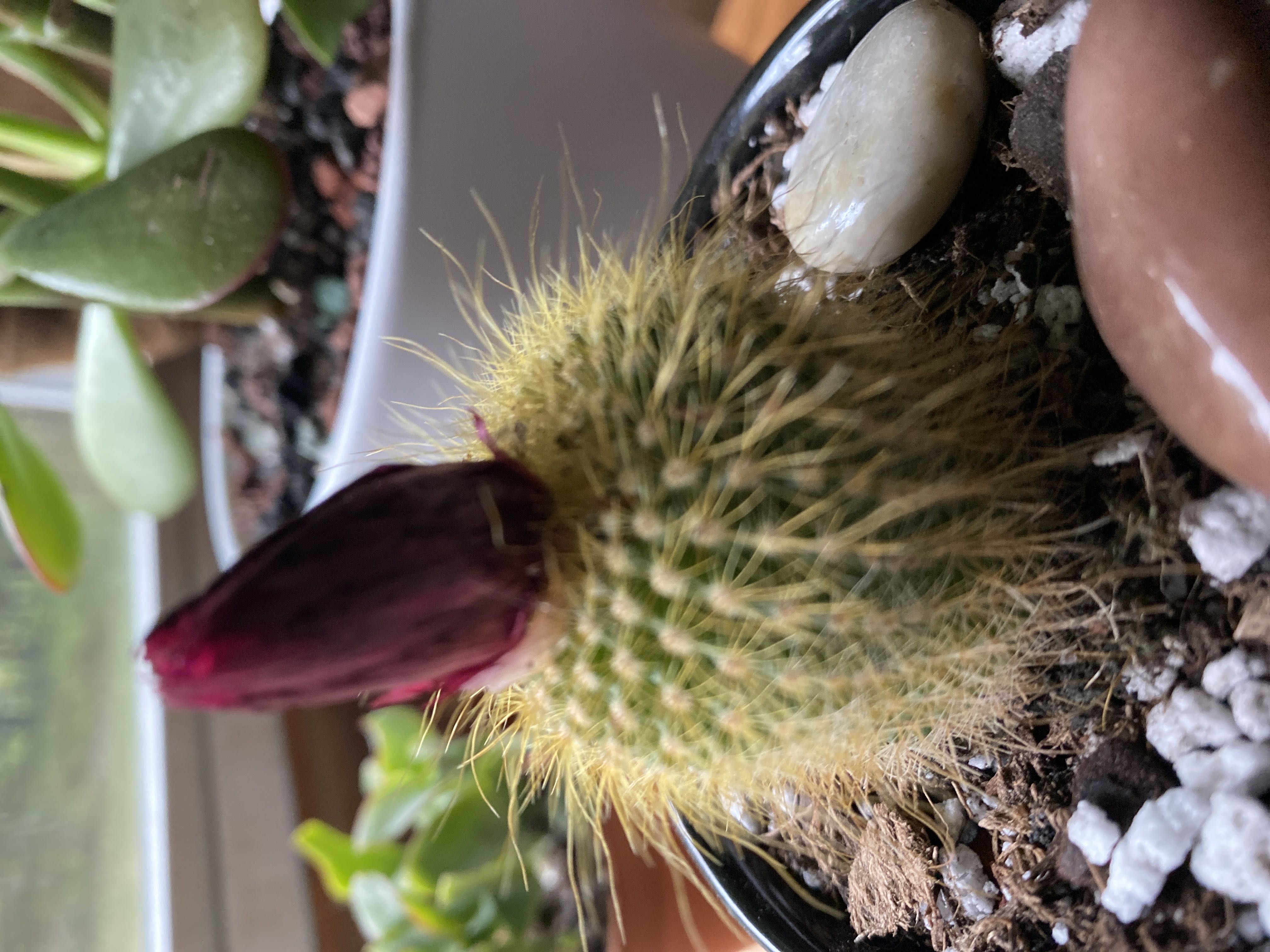 Photo from the post