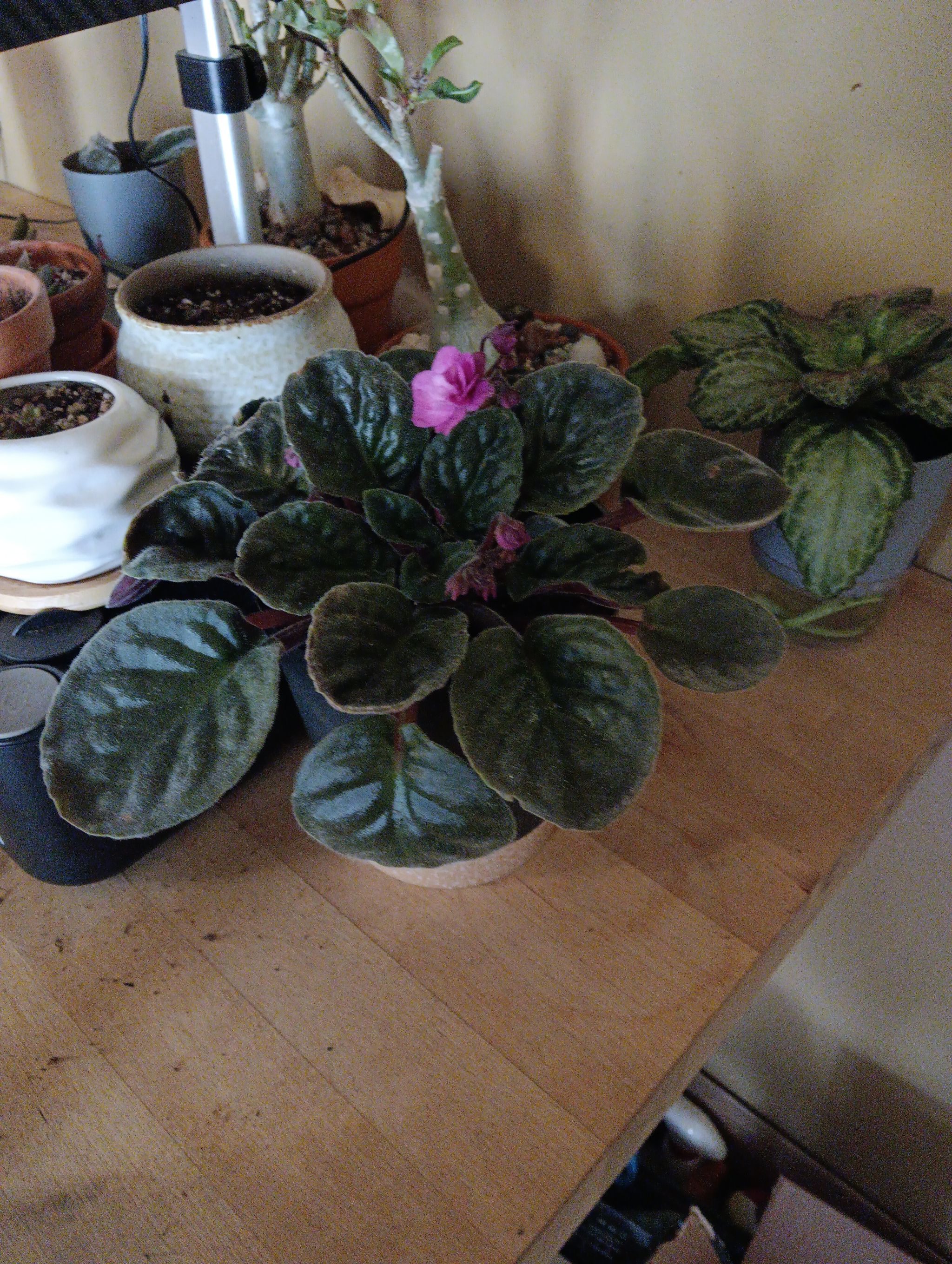 Photo from the post