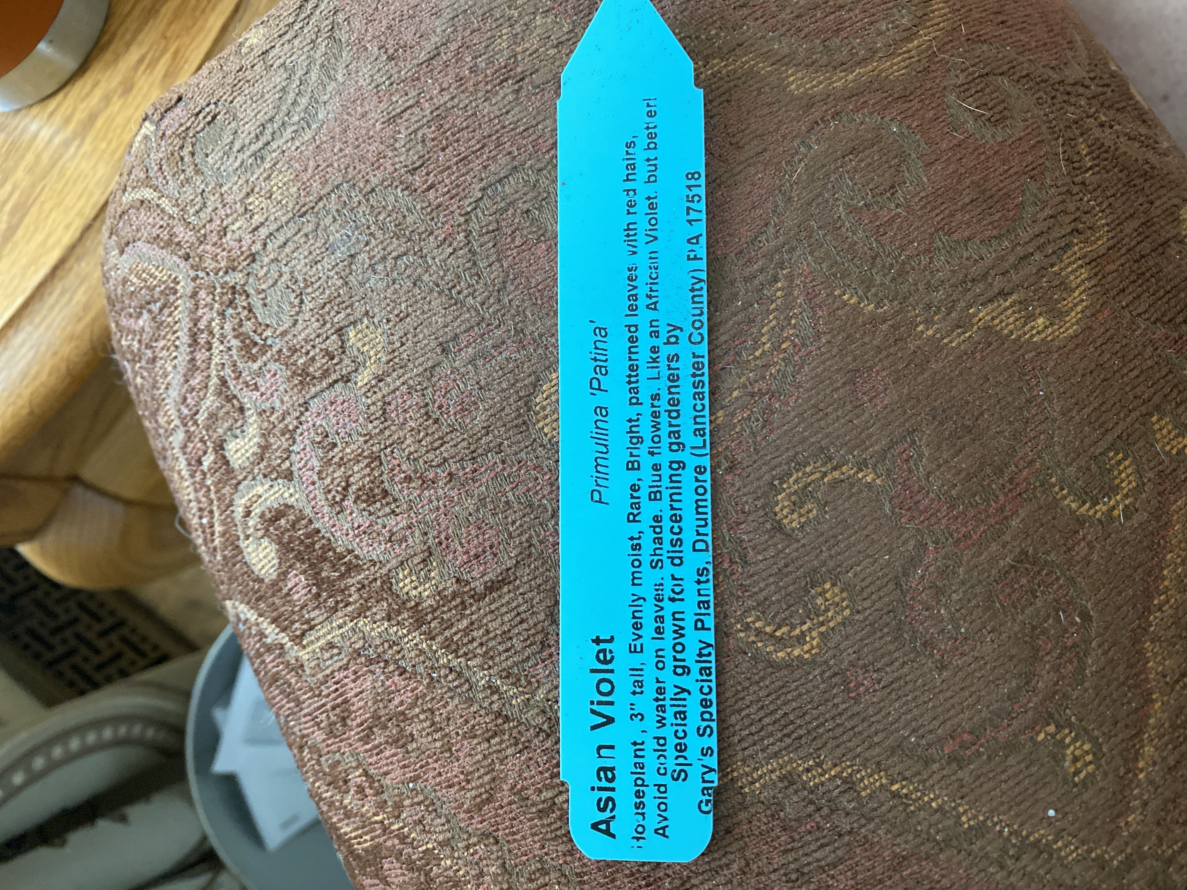 Photo from the post