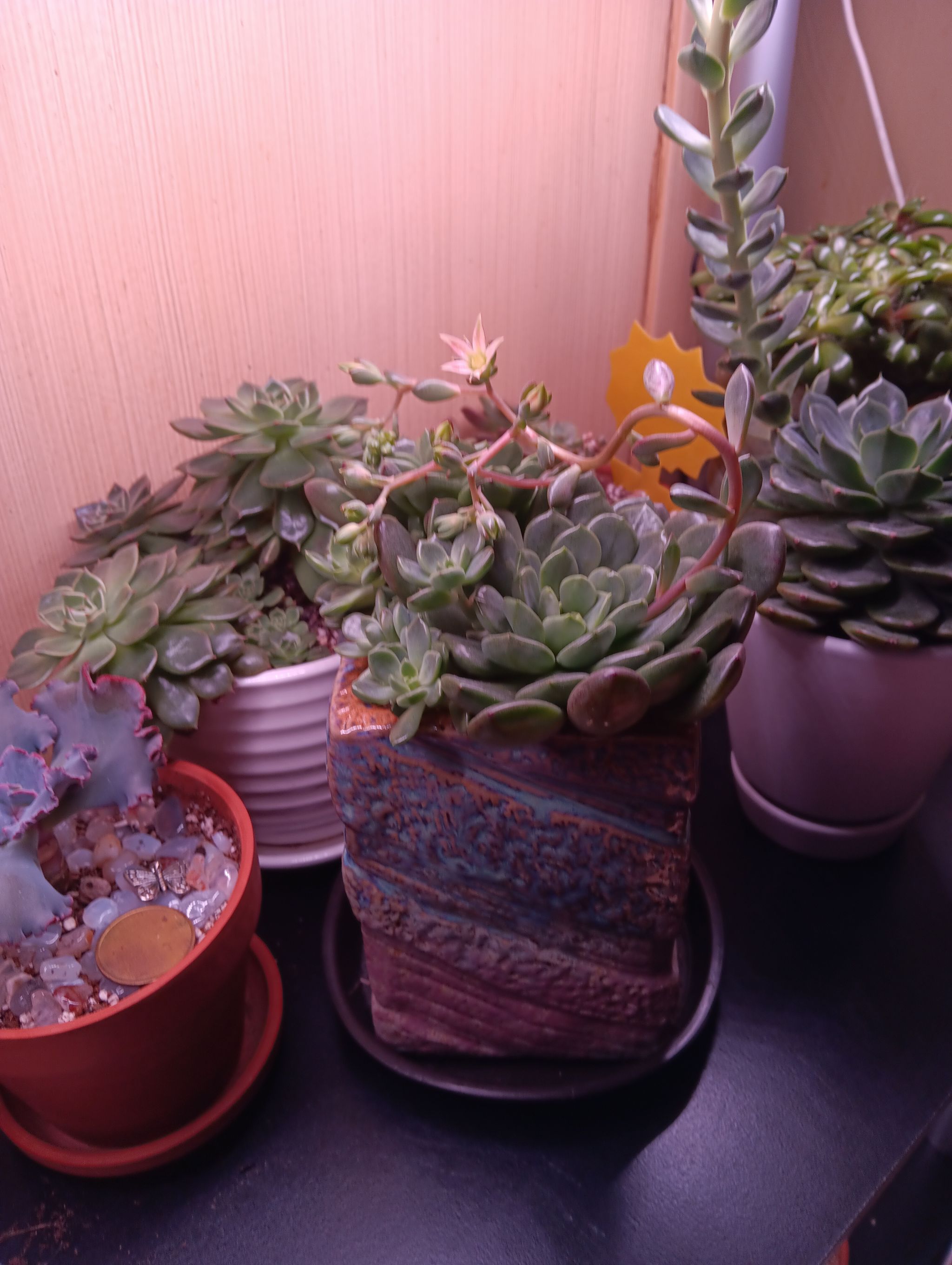 Photo from the post