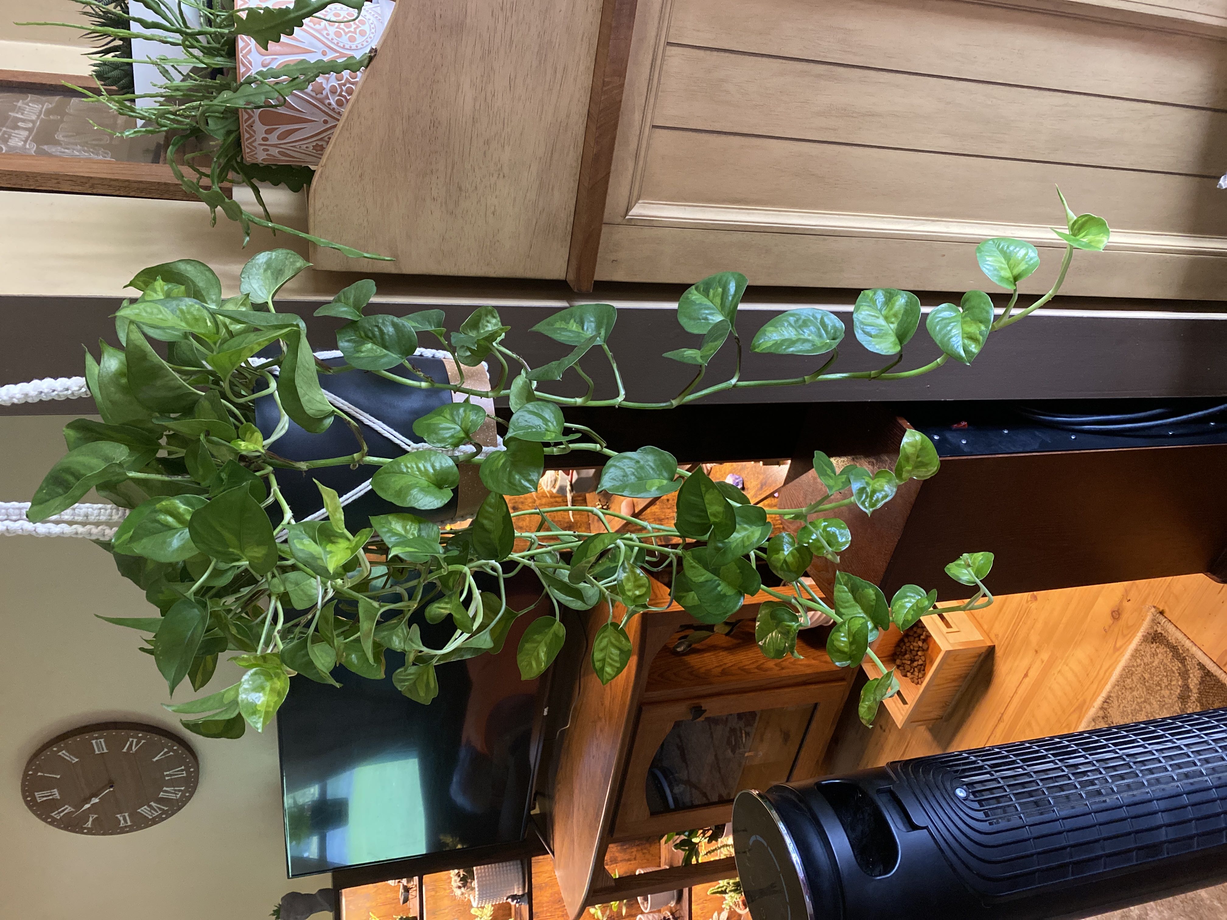 Photo from the post