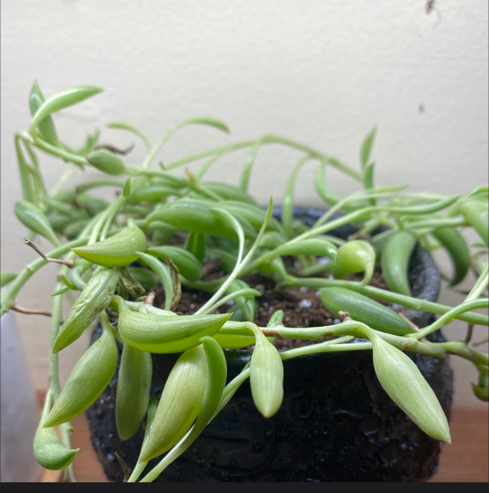Photo from the post