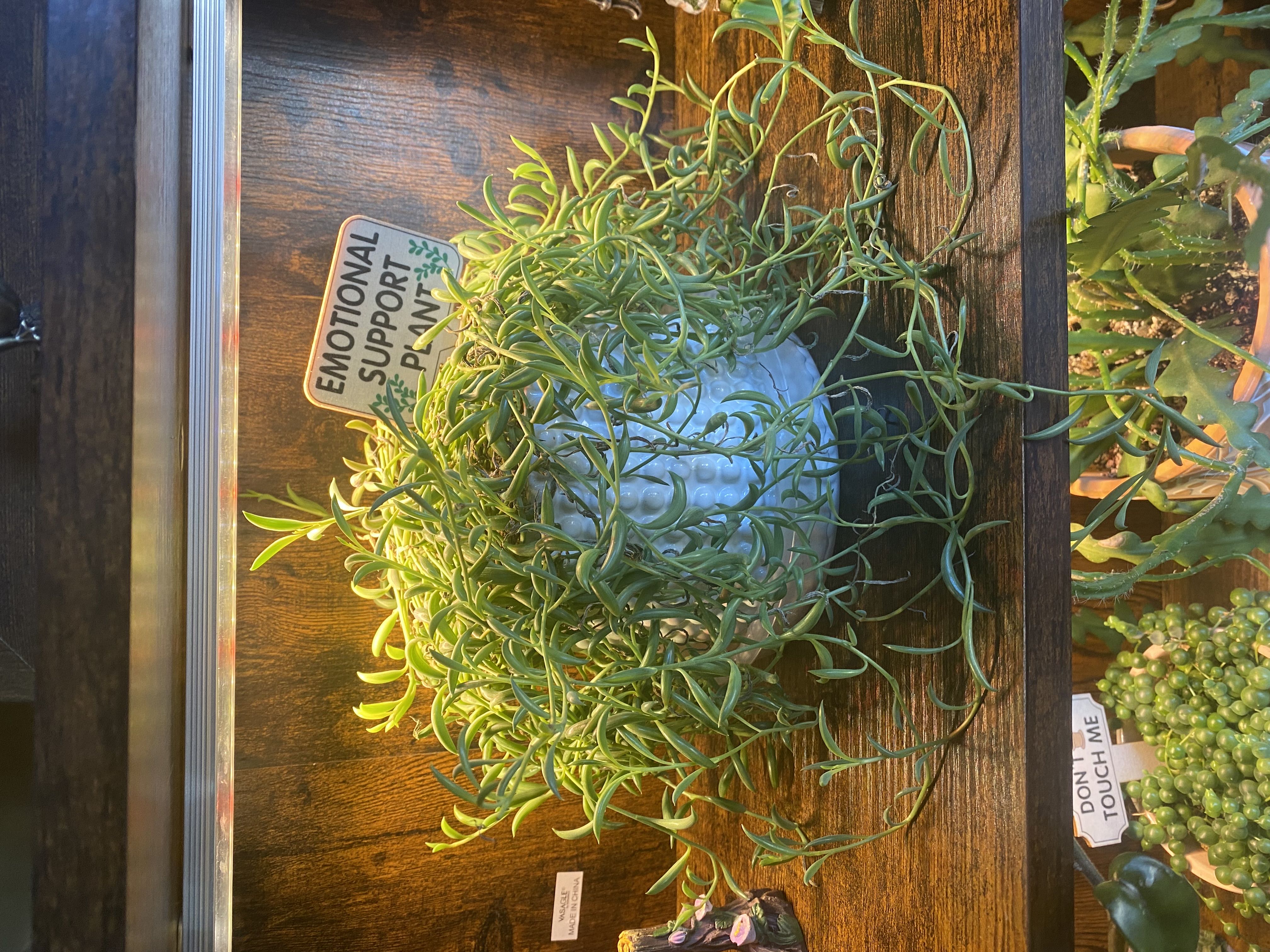 Photo from the post