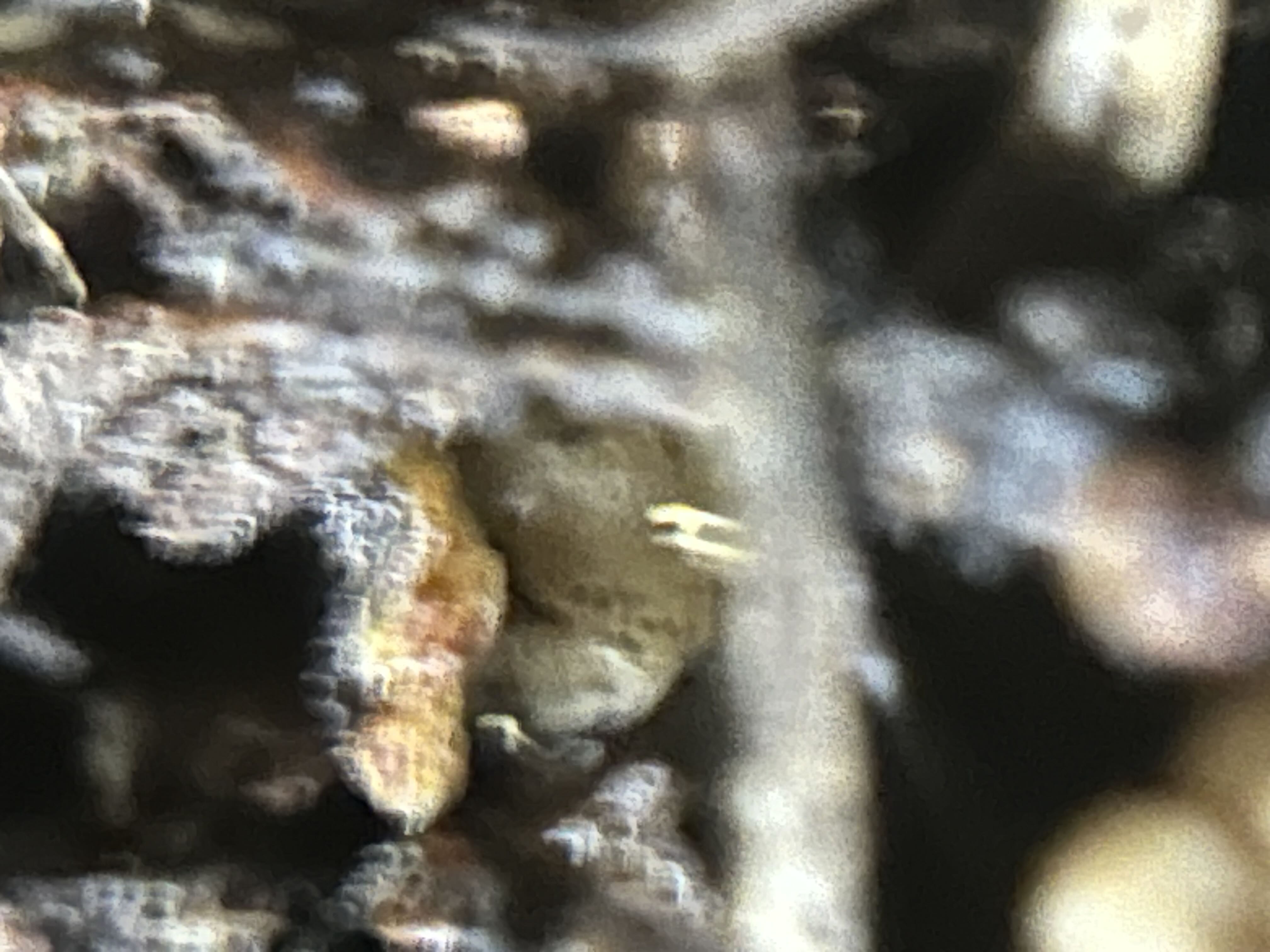 Photo from the post