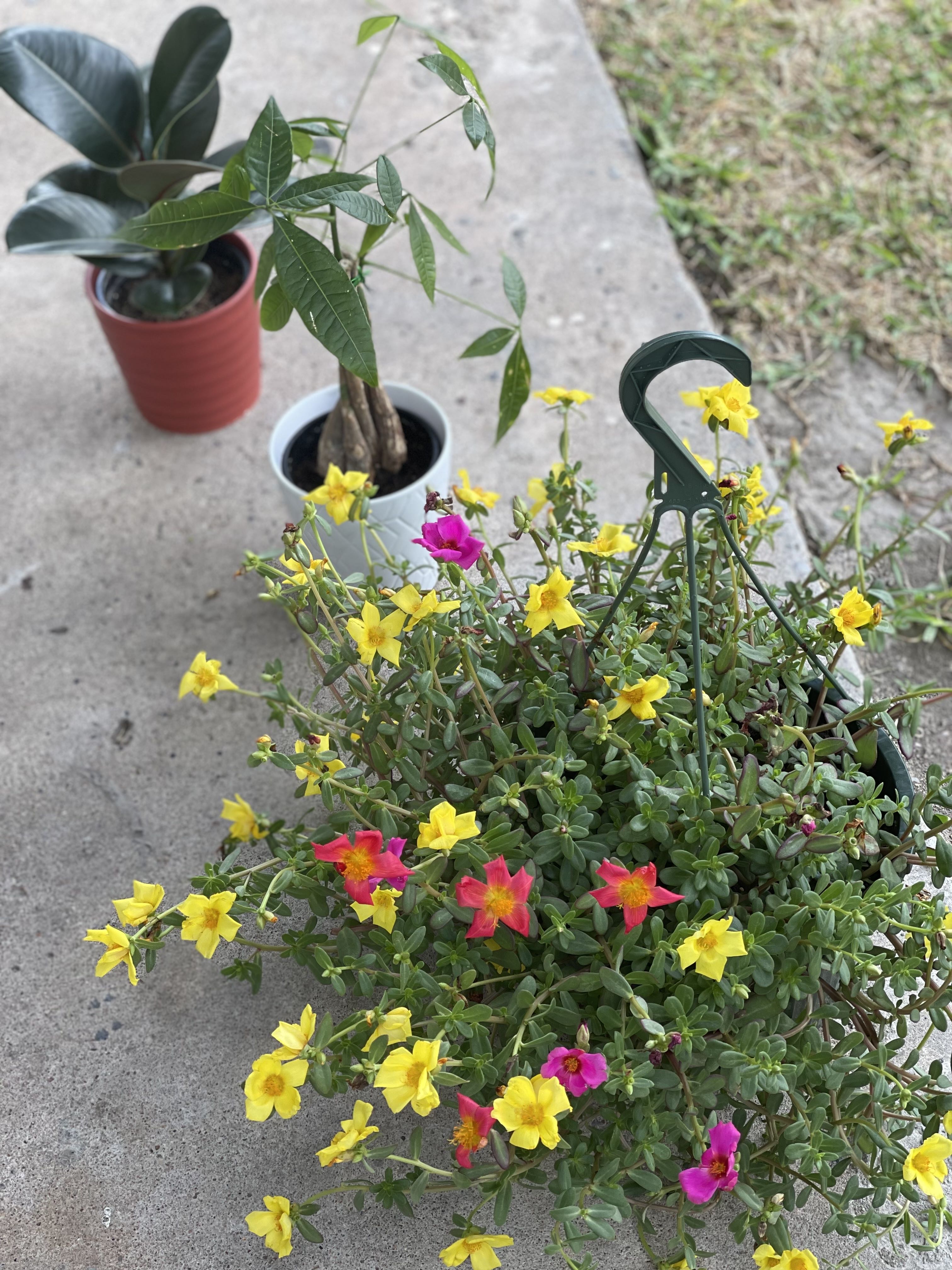 Photo from the post