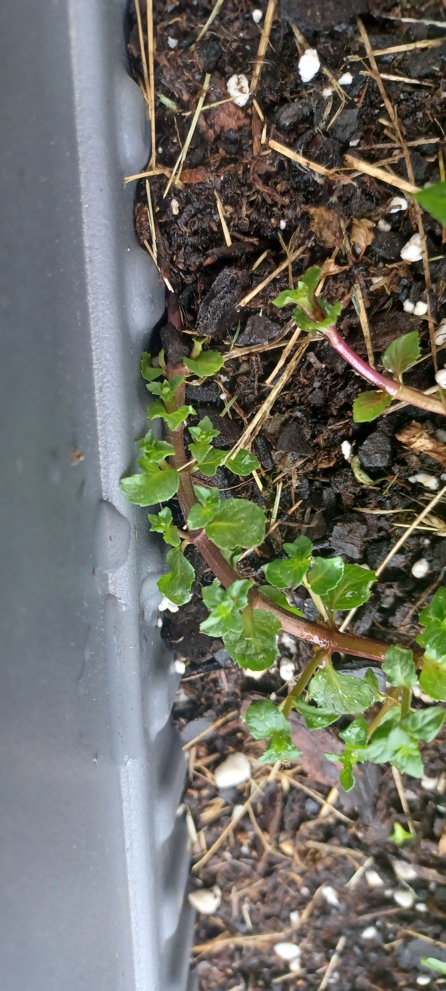 Photo from the post