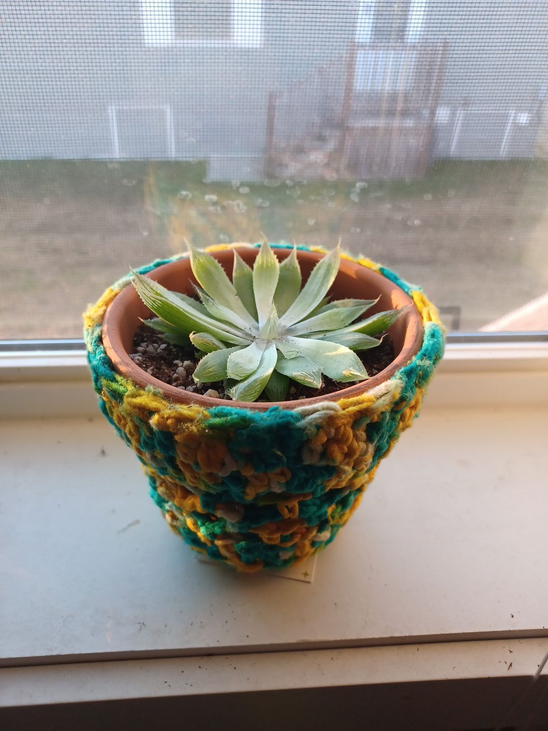 Photo from the post