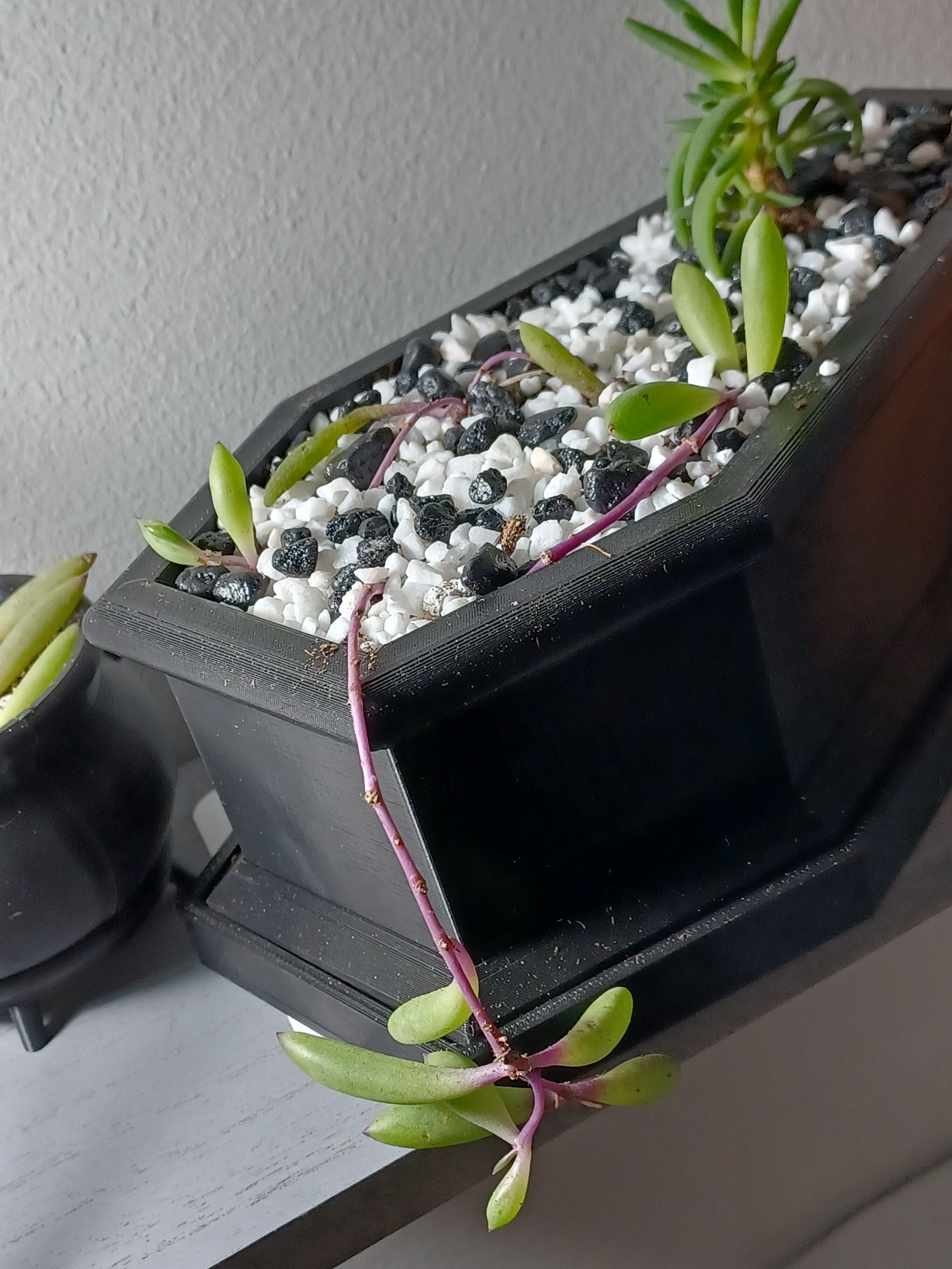Photo from the post