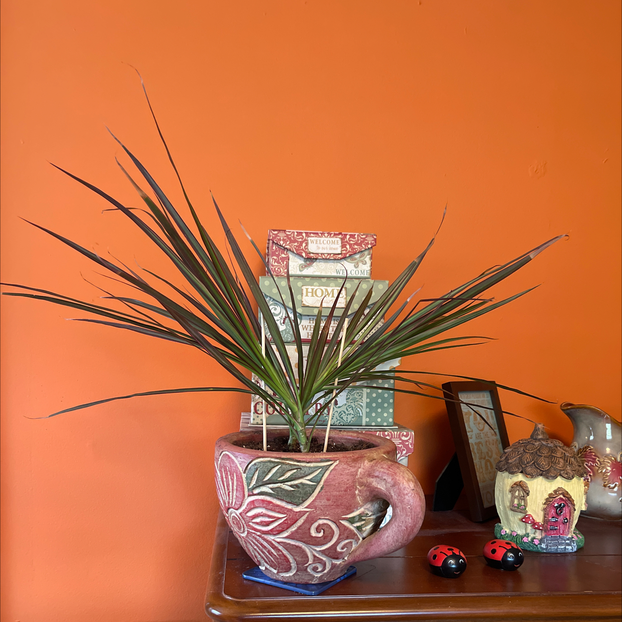 Dracaena plant in a decorative pot on a wooden surface with various decorative items in the background.