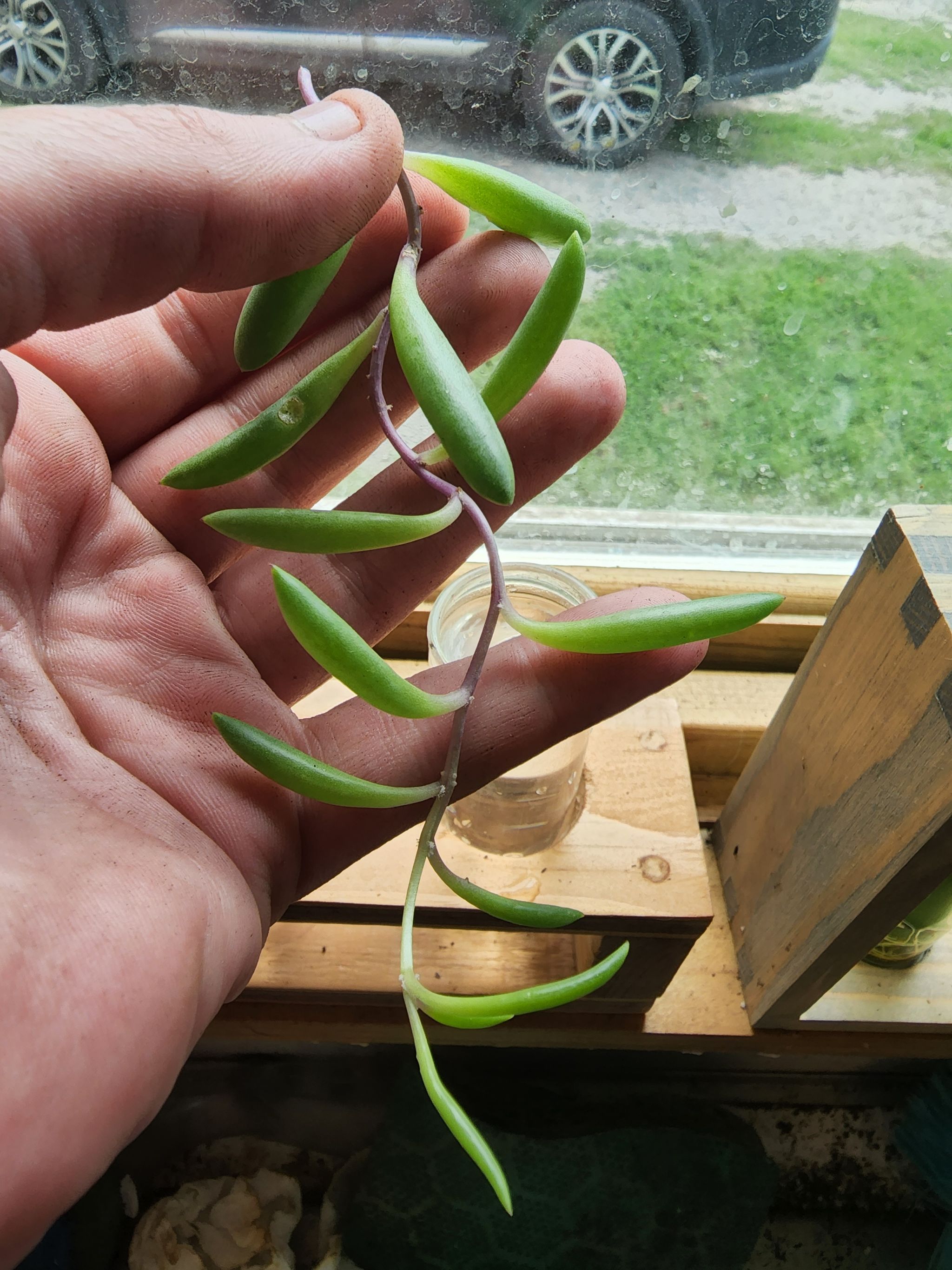 Photo from the post