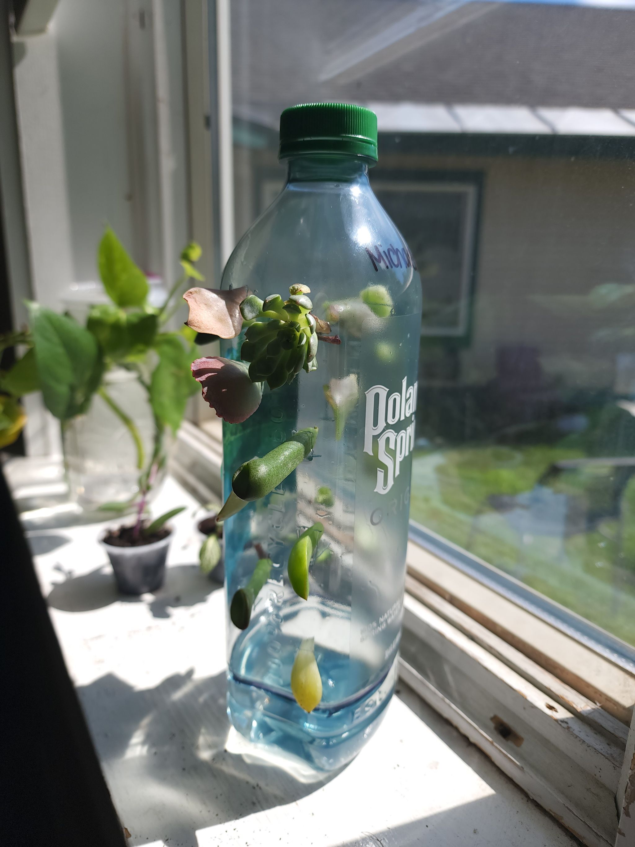 Photo from the post