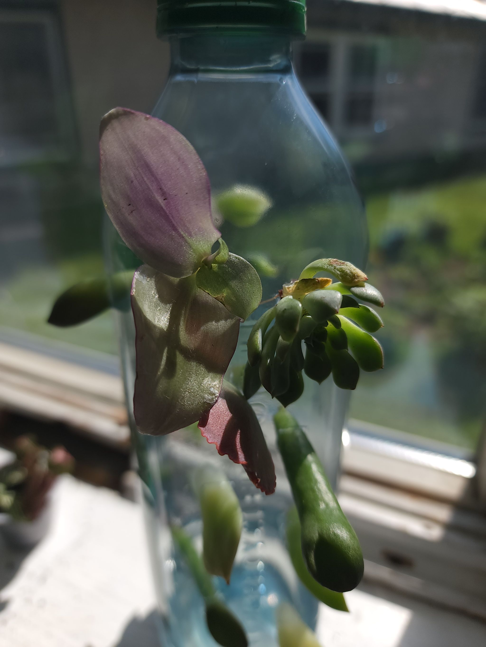 Photo from the post