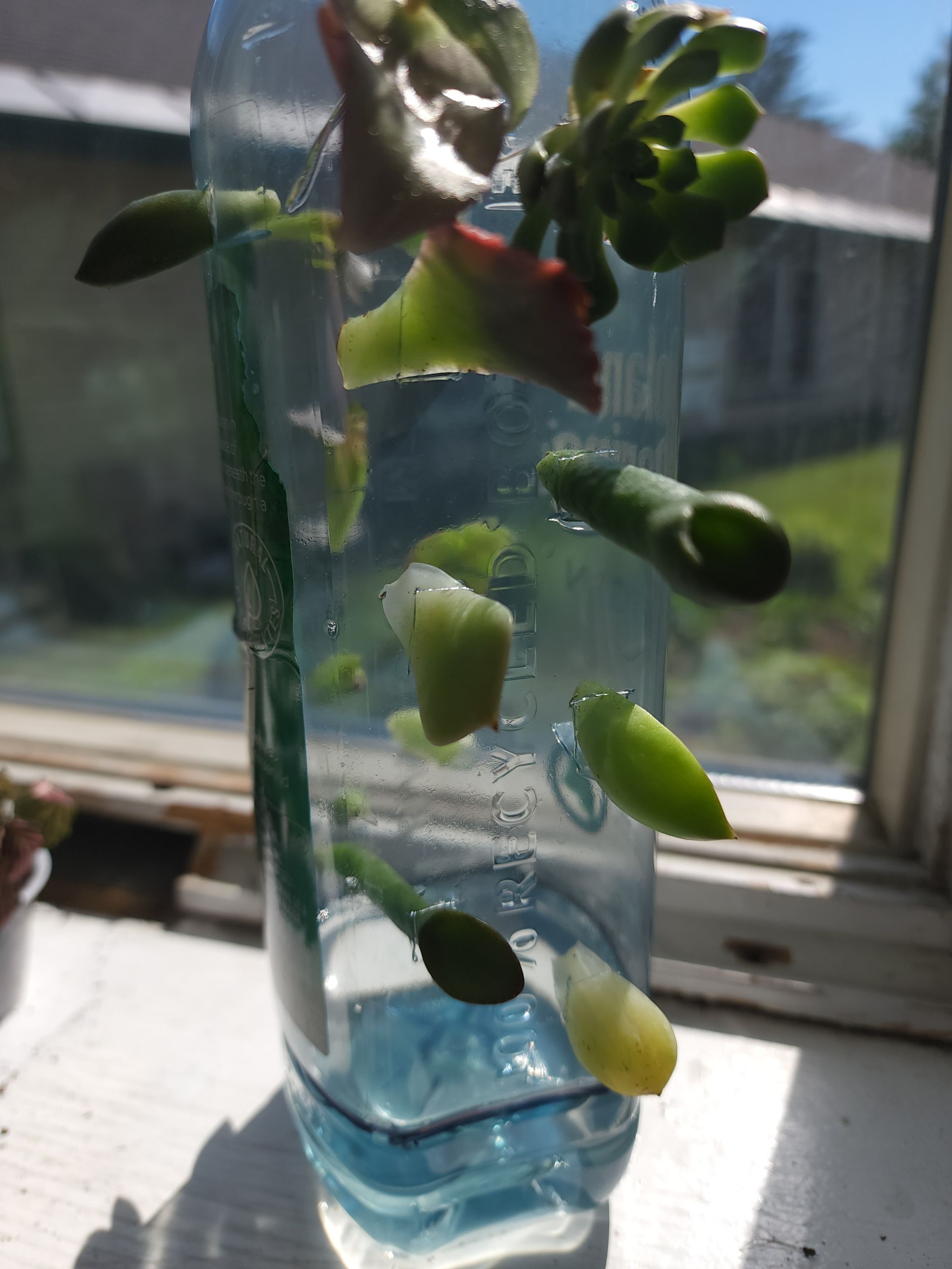 Photo from the post