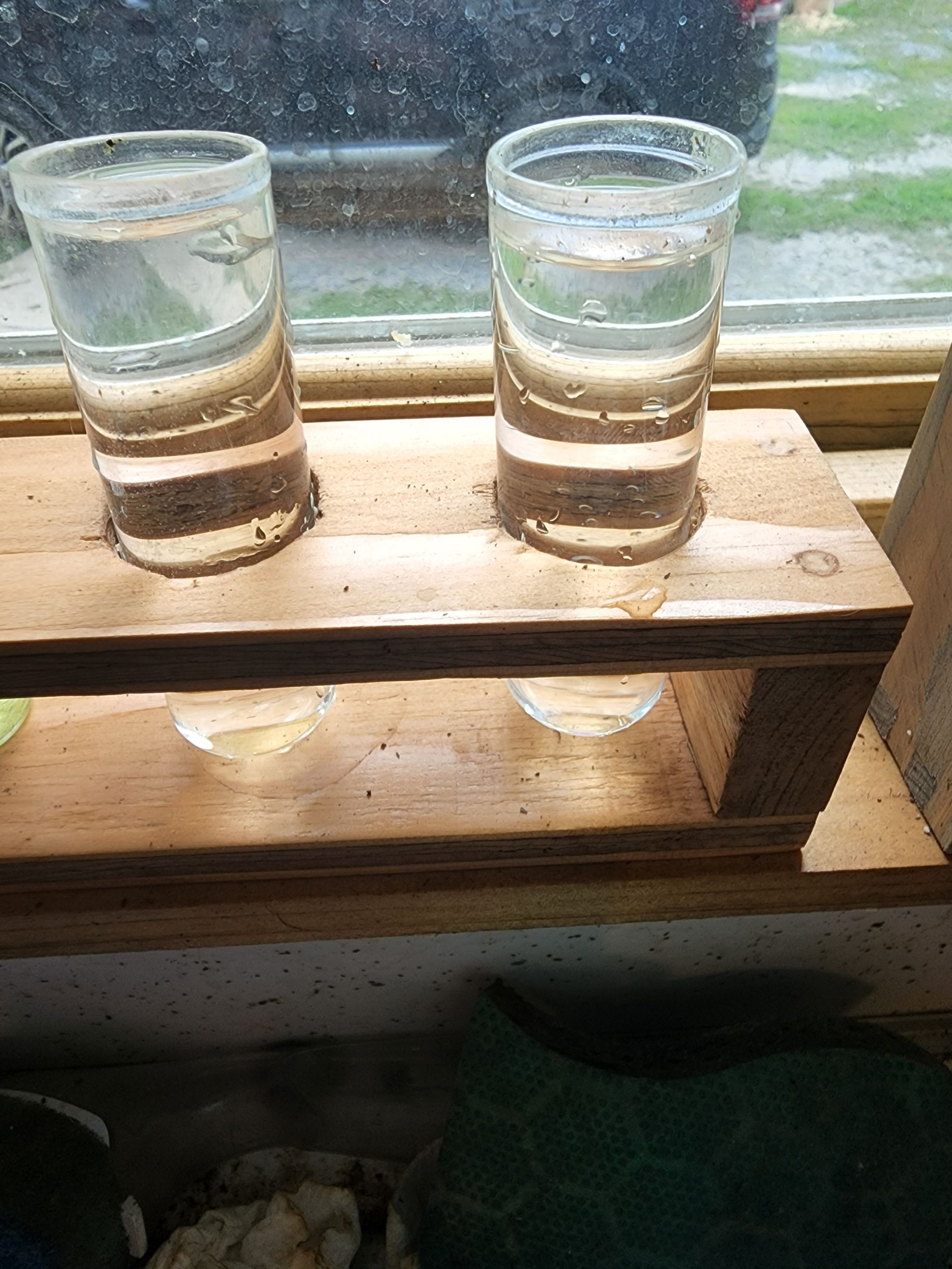 Photo from the post
