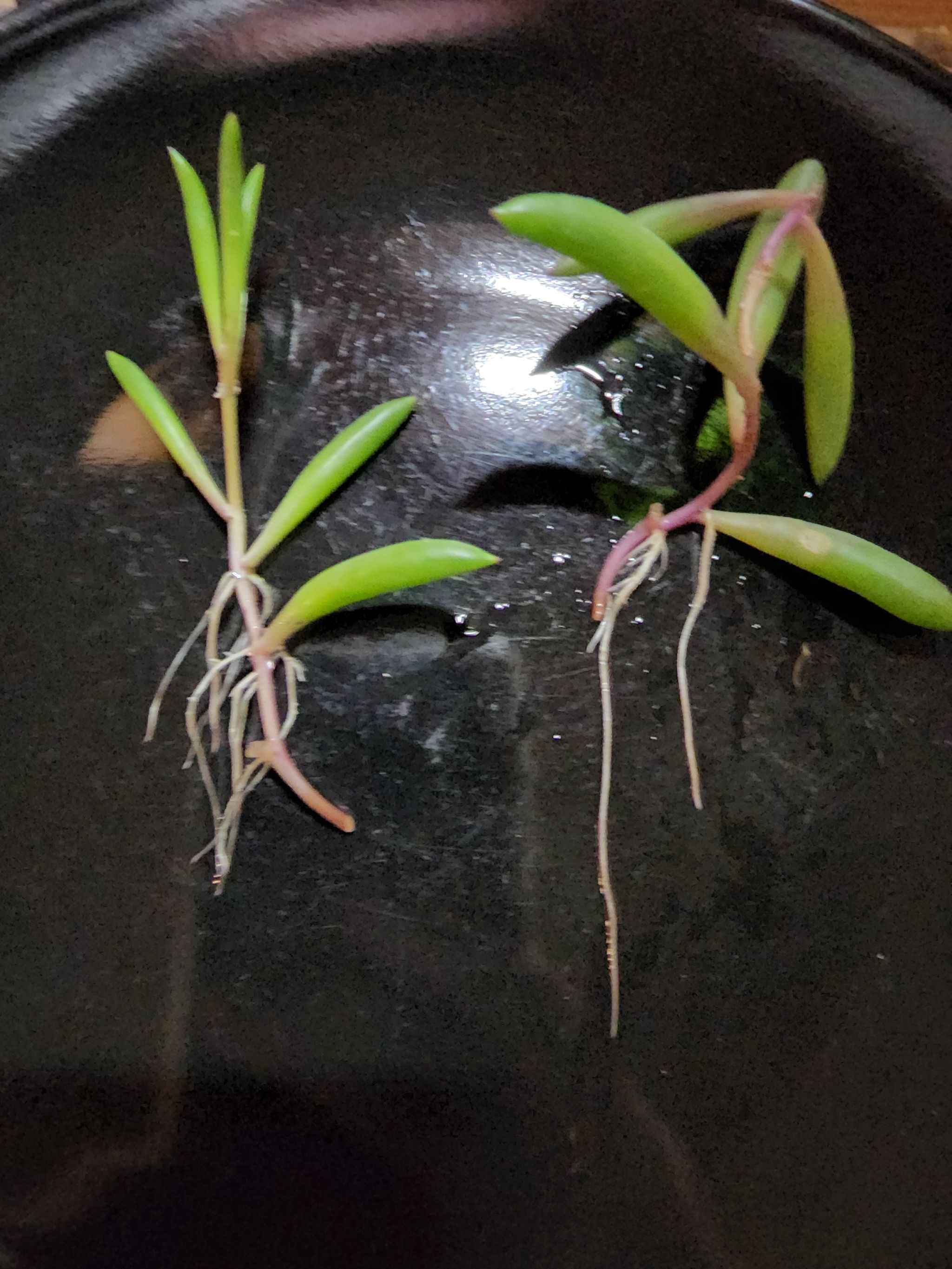 Photo from the post