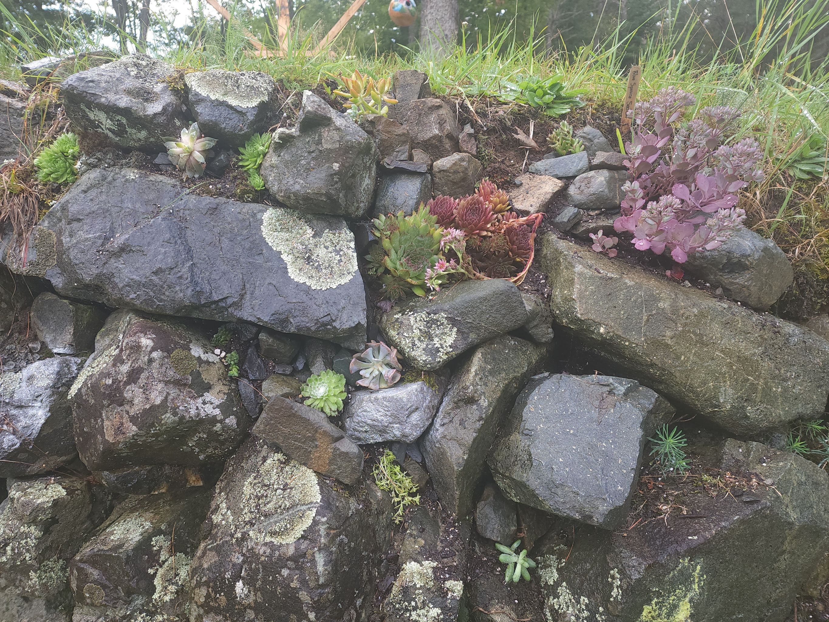 Photo from the post