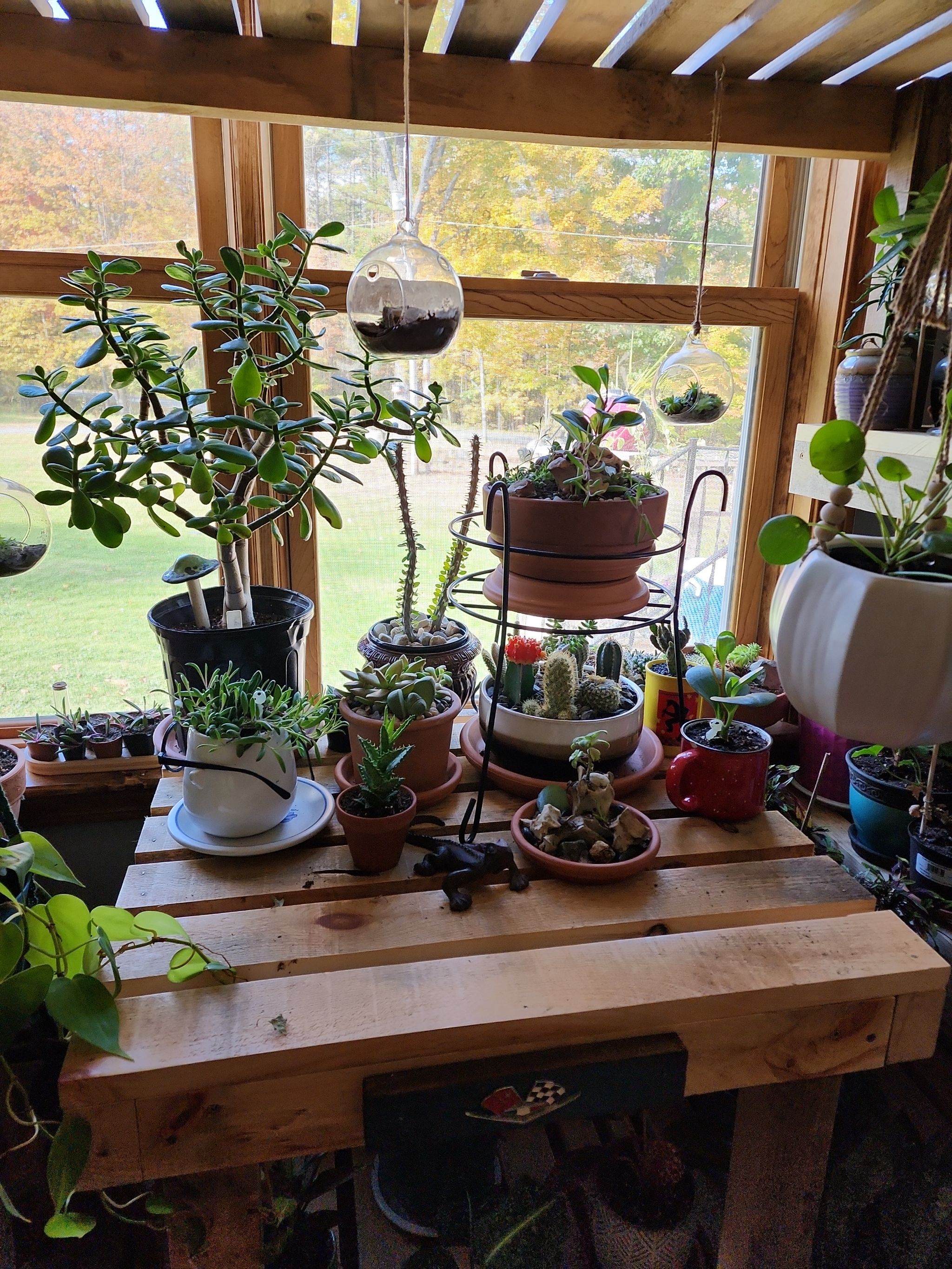 Photo from the post