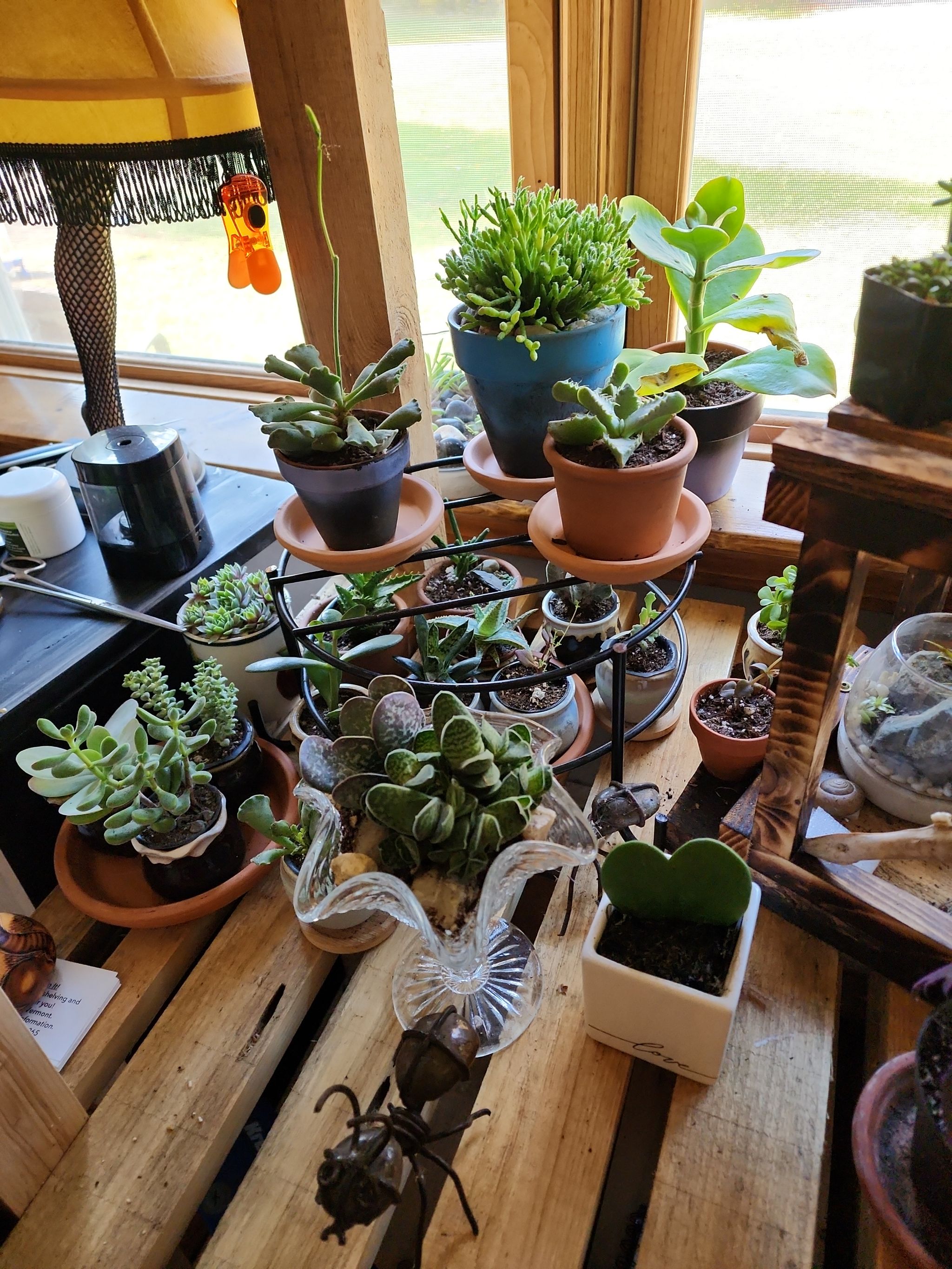 Photo from the post