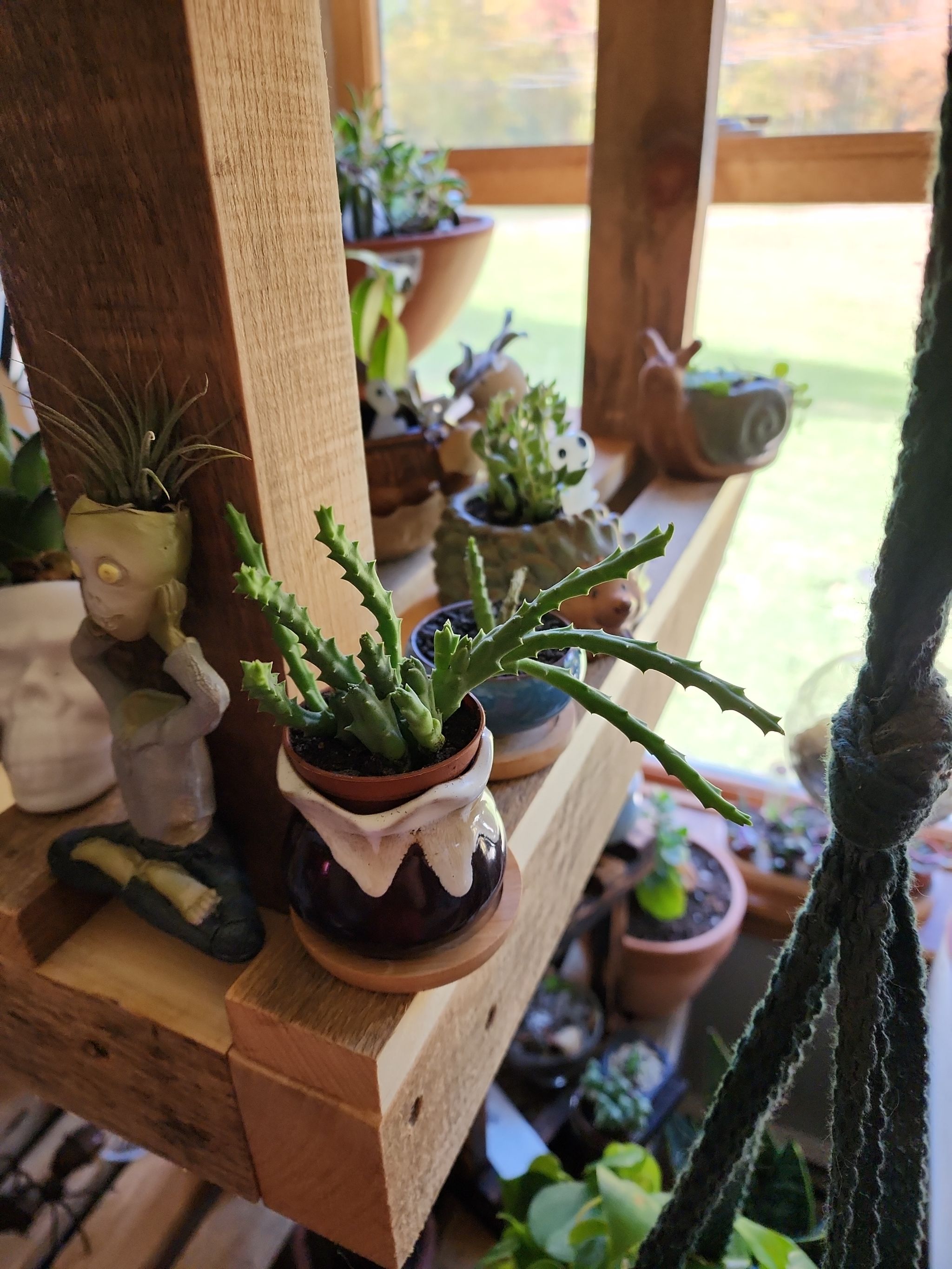 Photo from the post
