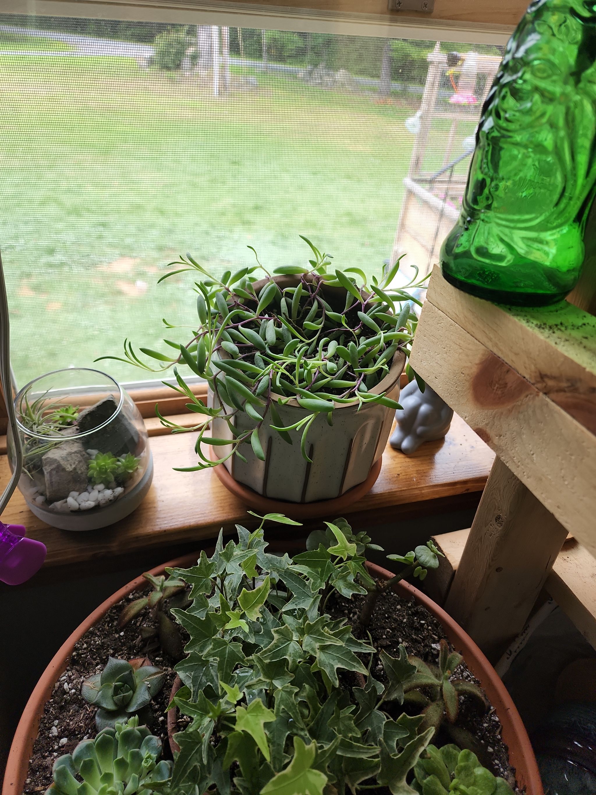 Photo from the post