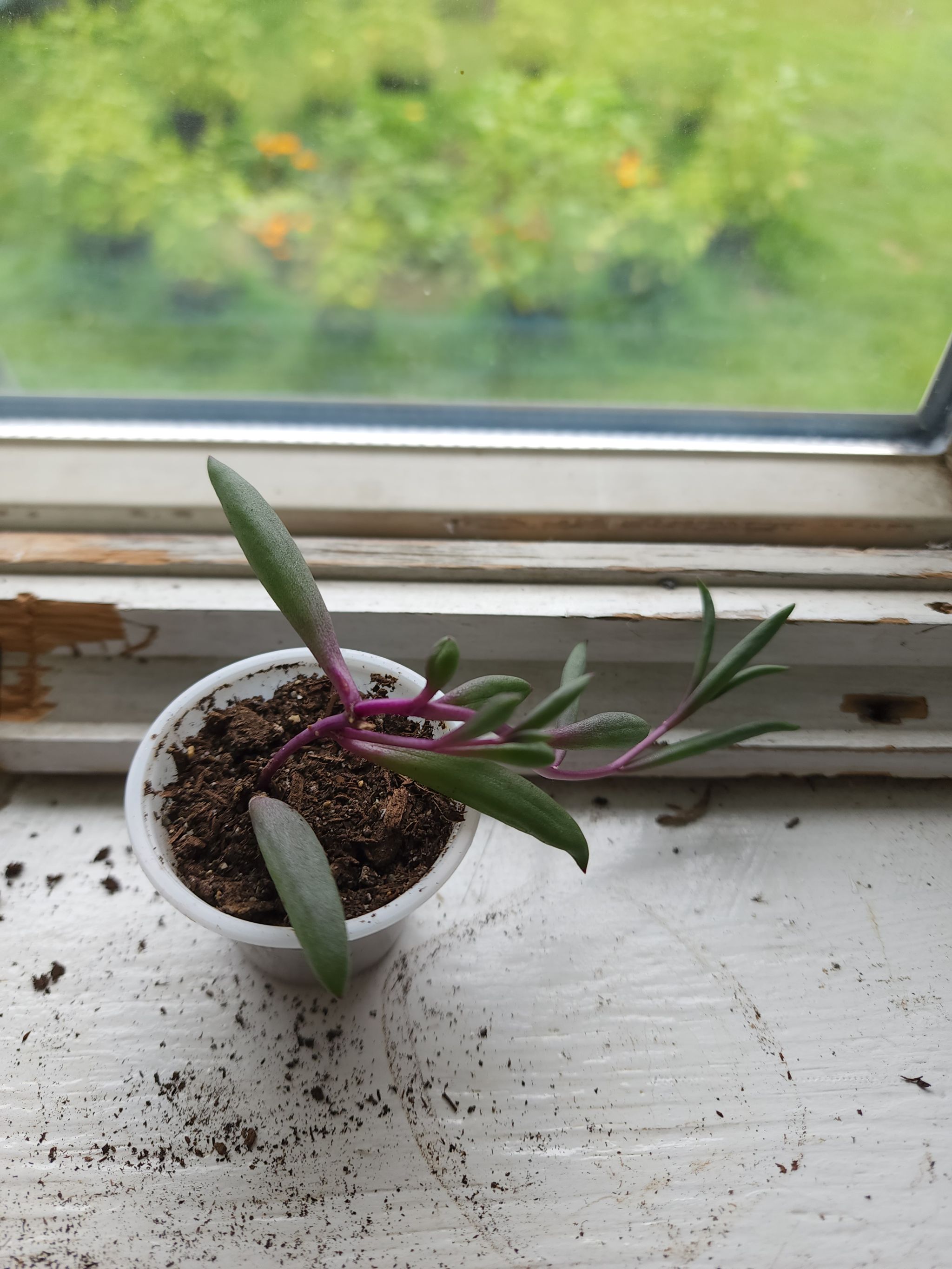 Photo from the post