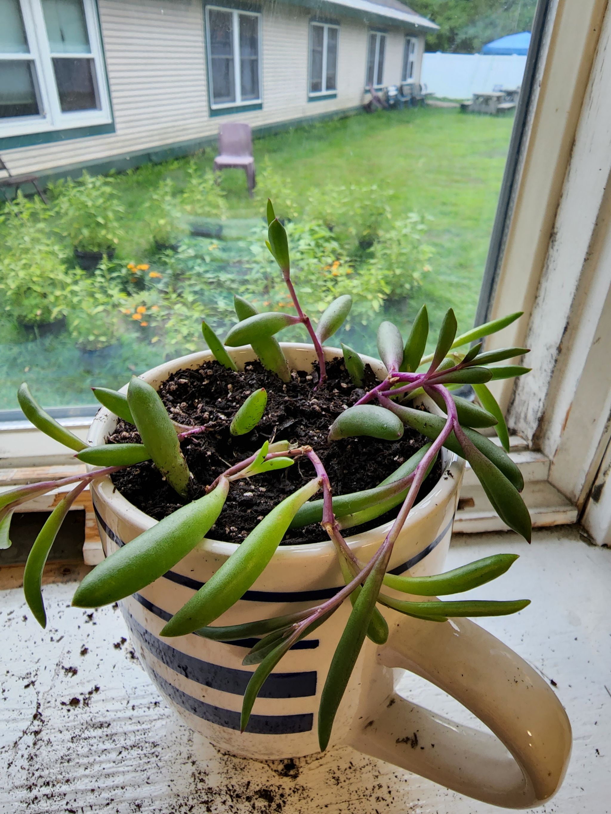 Photo from the post